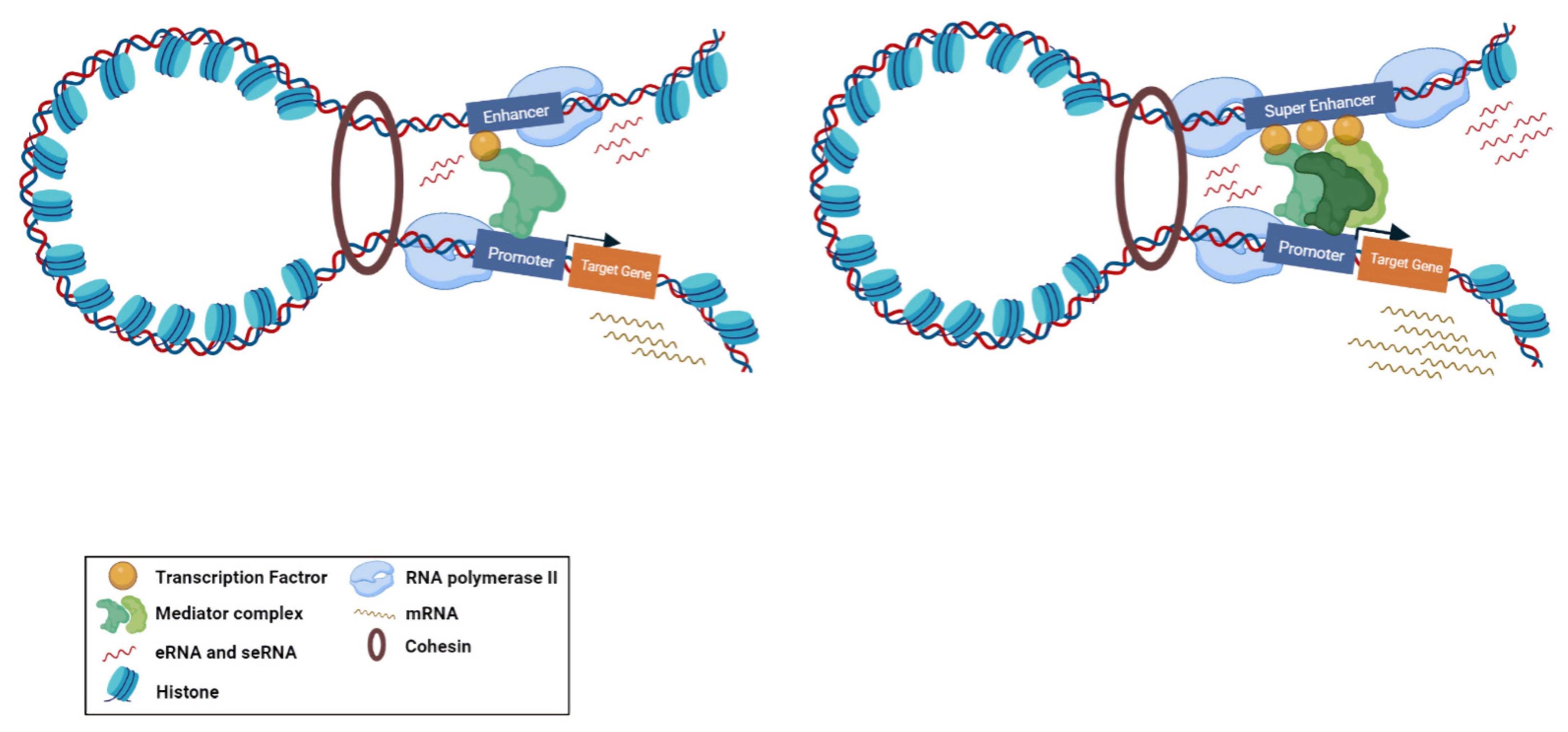 Ncrna 08 00066 g002
