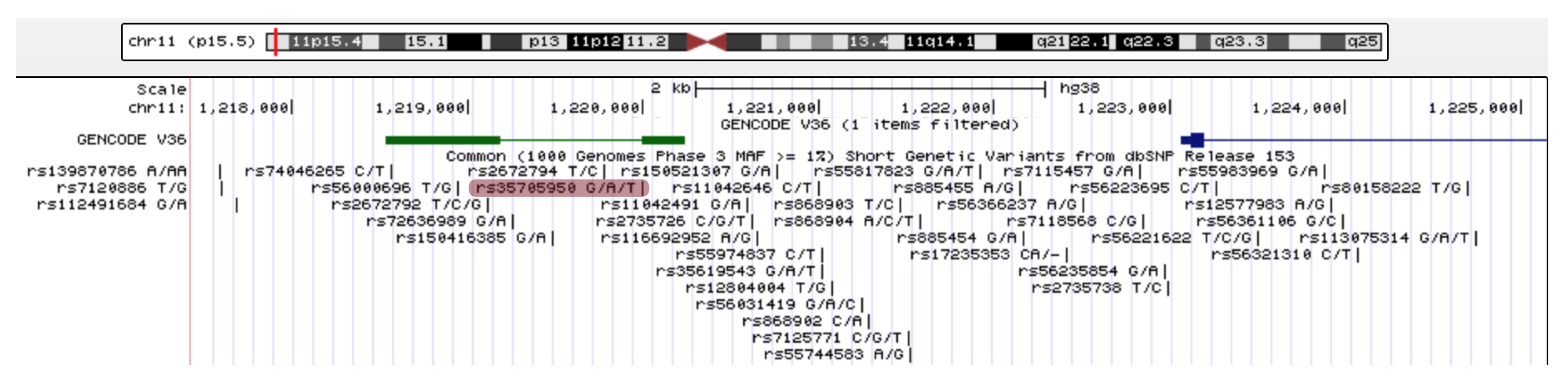 Ncrna 08 00083 g002