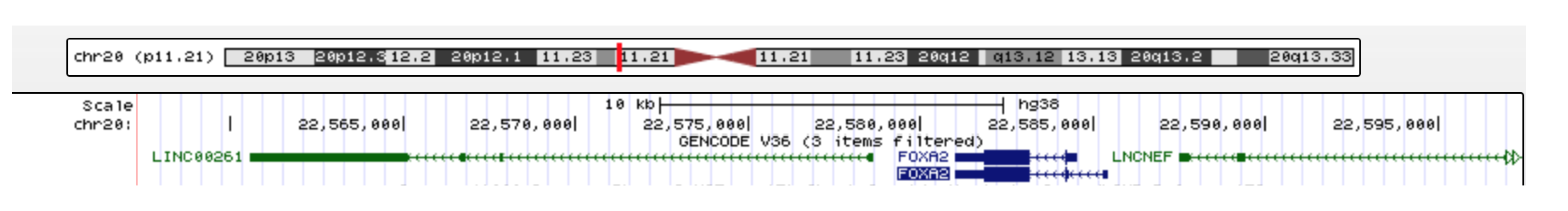 Ncrna 08 00083 g005