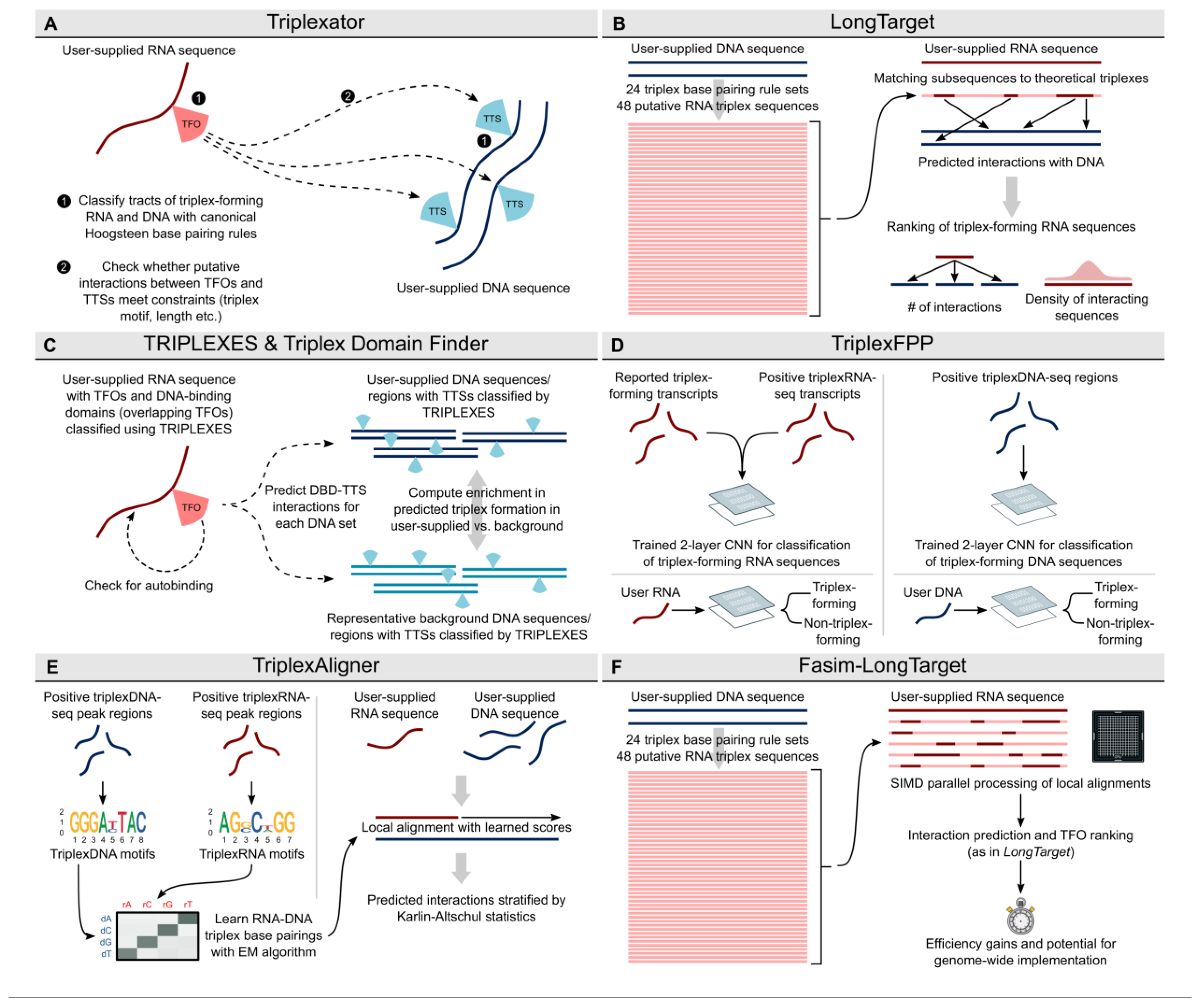 Ncrna 09 00010 g002 Ncrna 09 00010 g002