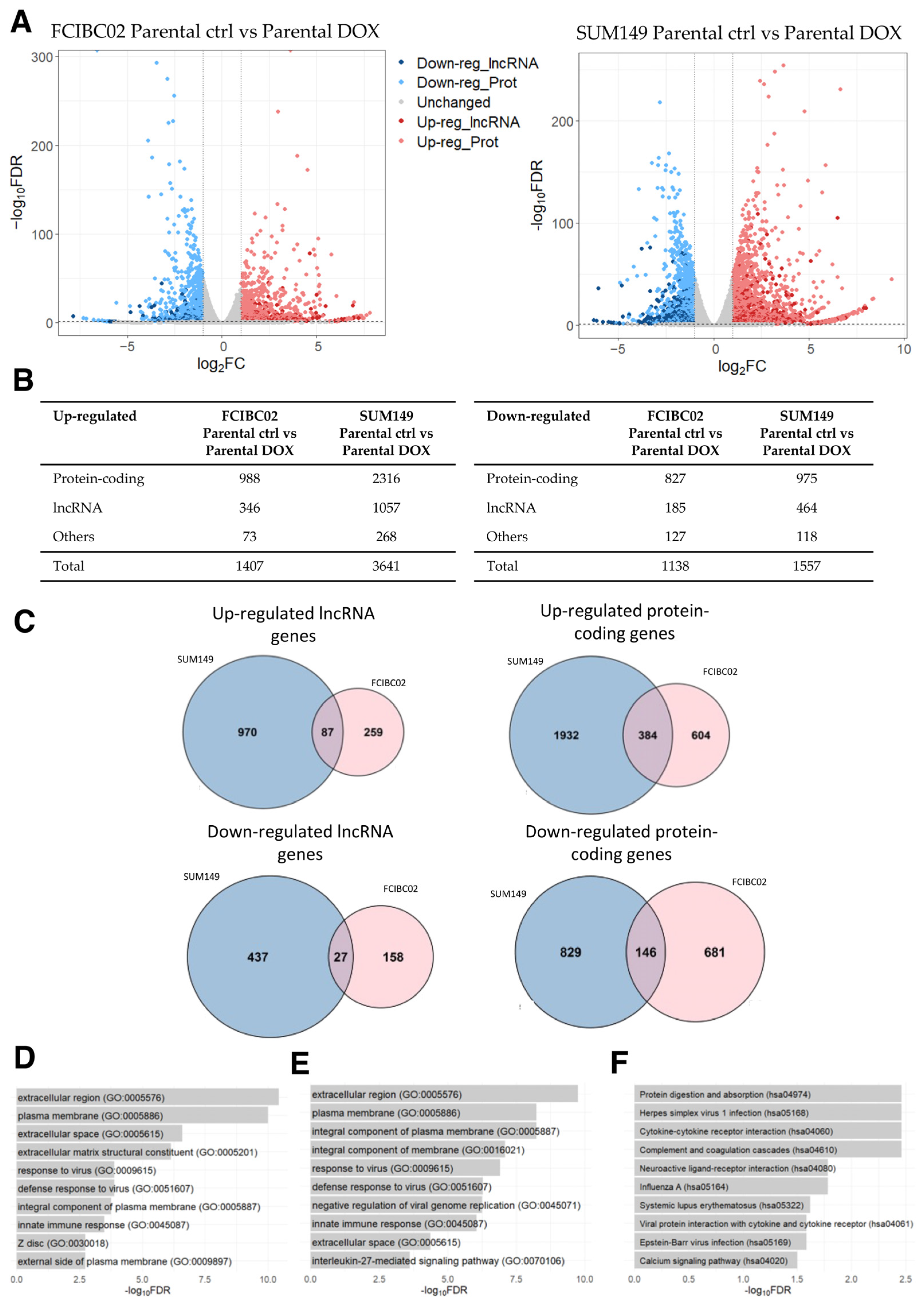 Ncrna 09 00039 g004 Ncrna 09 00039 g004