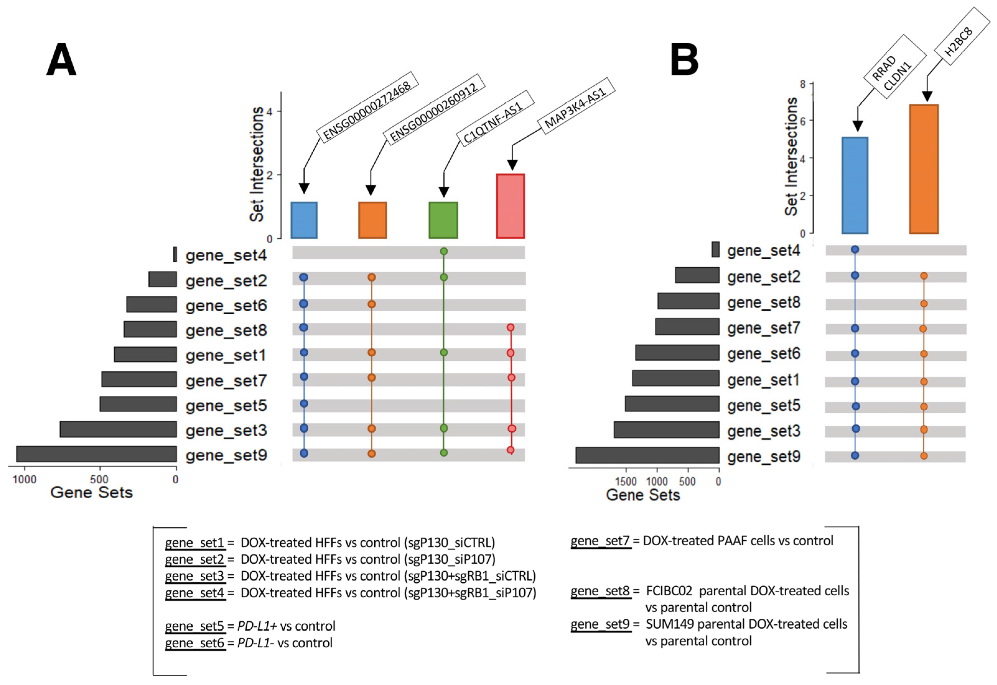 Ncrna 09 00039 g005 Ncrna 09 00039 g005