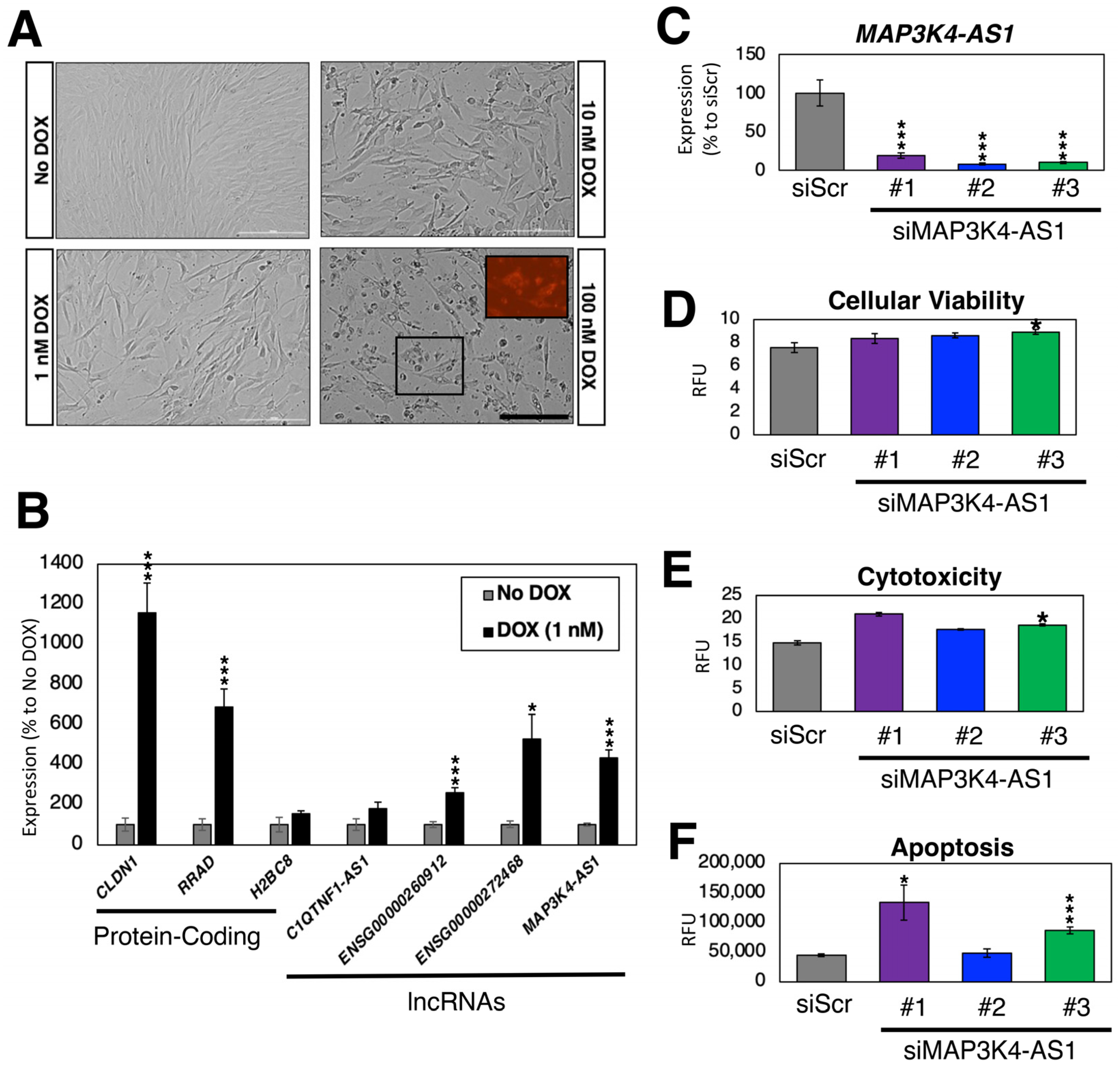 Ncrna 09 00039 g006 Ncrna 09 00039 g006