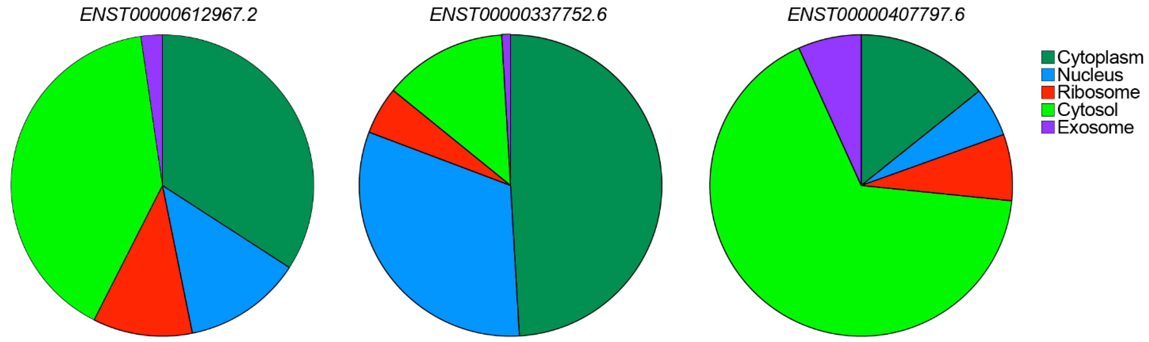 Ncrna 11 00079 g005 Ncrna 11 00079 g005