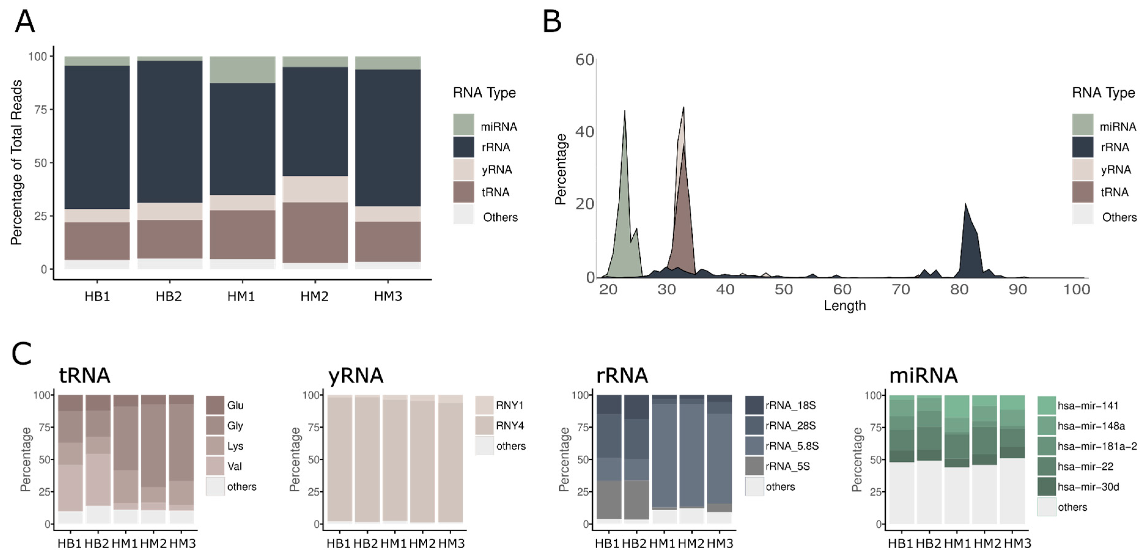 Ncrna 12 00005 g001 Ncrna 12 00005 g001