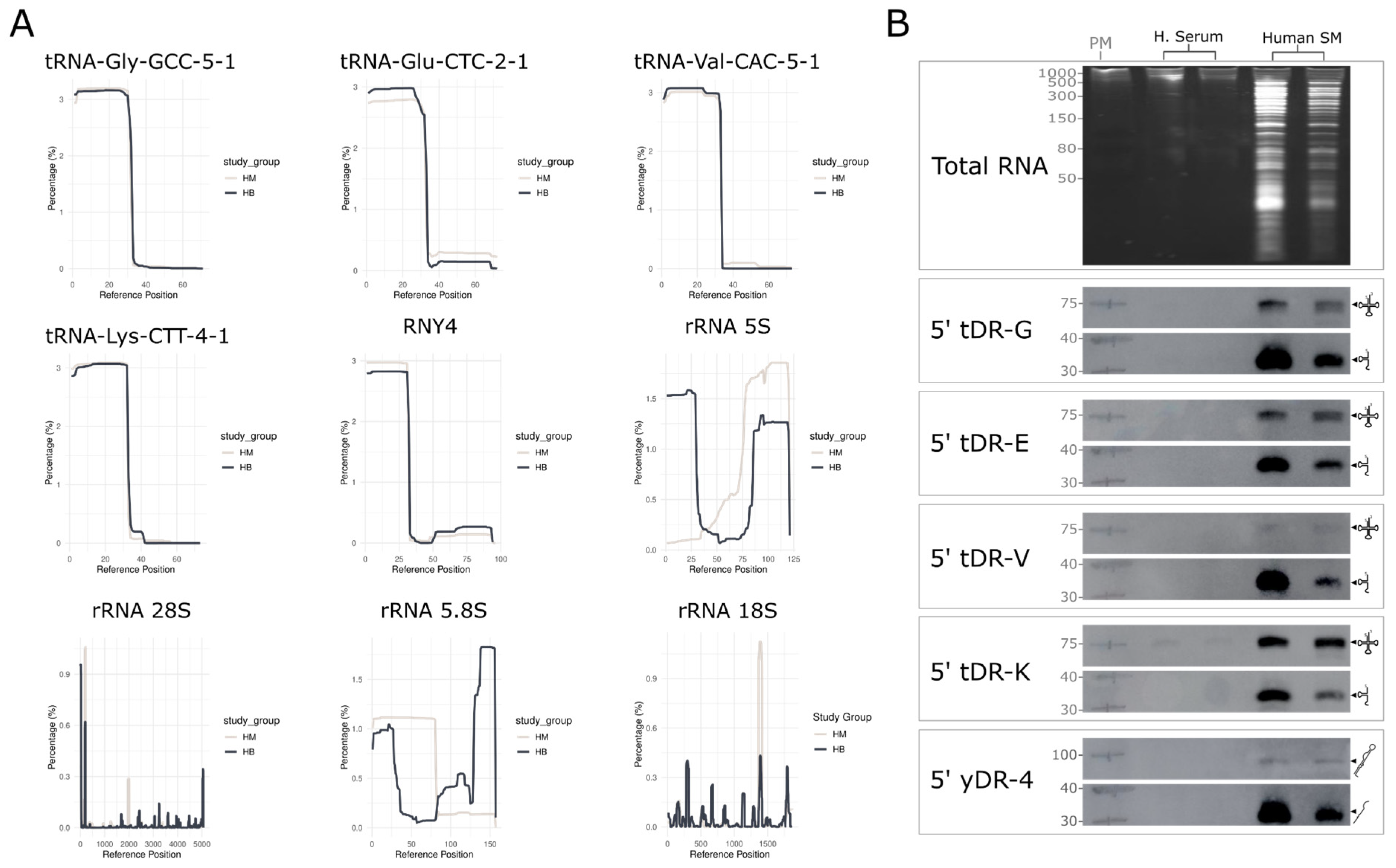Ncrna 12 00005 g002 Ncrna 12 00005 g002