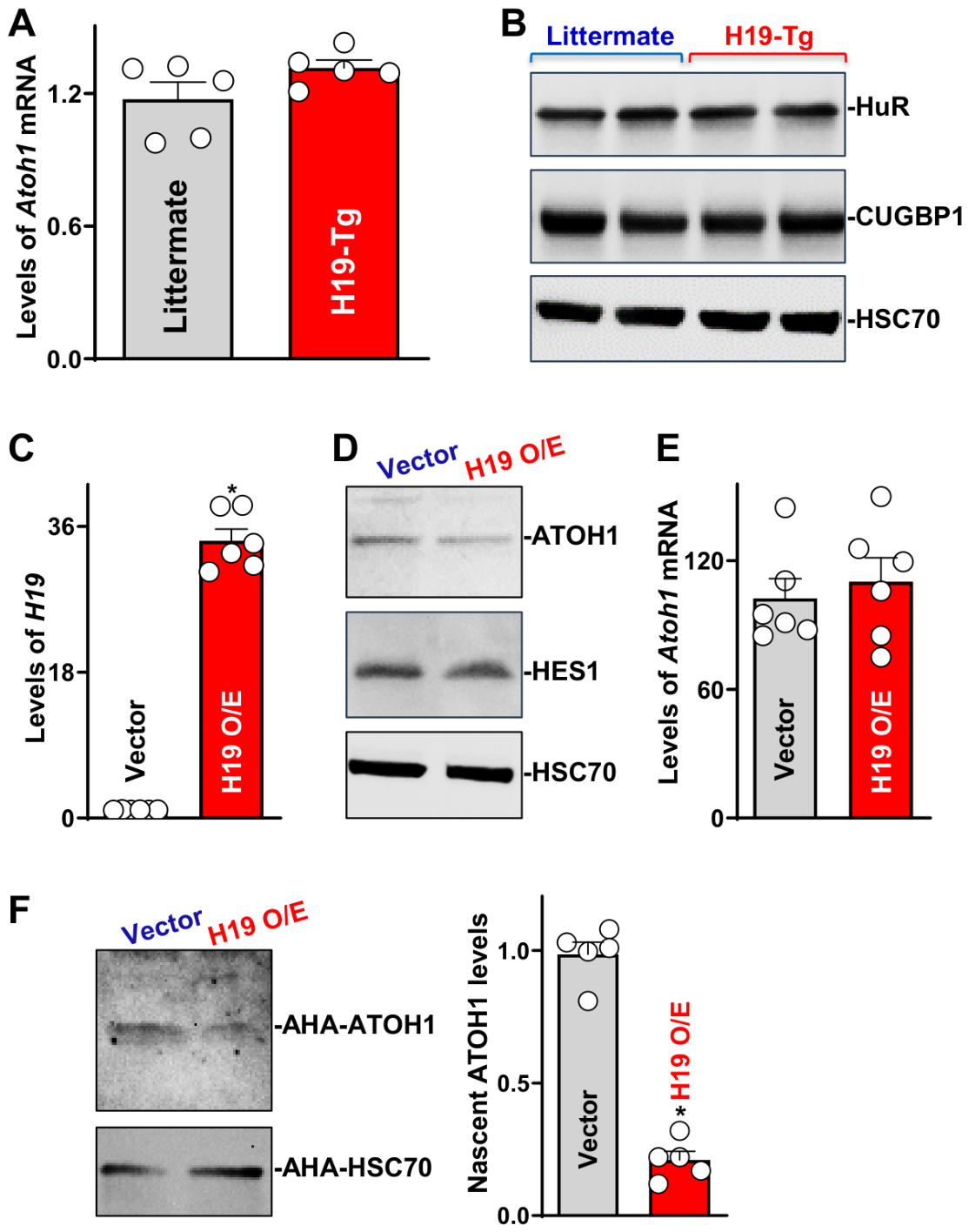 Ncrna 12 00037 g008