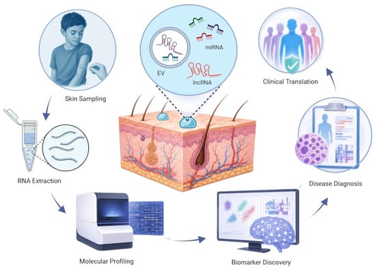 Skin surface secretions integrate cutaneous and potentially systemic inputs. The skin is a dynamic interface that continuously releases biomolecules through sweat, sebum and desquamation. These secretions arise from multiple sources, including keratinocytes, immune cells, melanocytes, the skin microbiota, and potentially biomolecules reaching cutaneous compartments from the systemic circulation. Transported through eccrine and sebaceous glands or shed as corneocytes, these materials accumulate on the surface to form a biofluid matrix composed of nucleic acids, proteins, lipids, metabolites, and ions. This composition allows the skin surface to serve as a non-invasive platform for molecular profiling and biomarker discovery. The depiction of systemic inputs represents a conceptual model rather than established transport of specific nucleic acids from distant organs.
