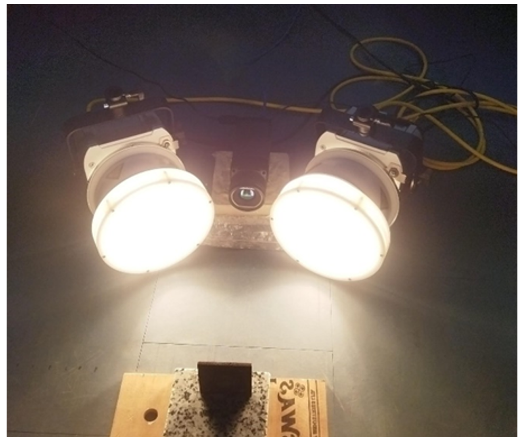 Ndt 02 00027 g003 Ndt 02 00027 g003