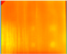 Ndt 02 00031 i002 Ndt 02 00031 i002