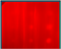 Ndt 02 00031 i008 Ndt 02 00031 i008