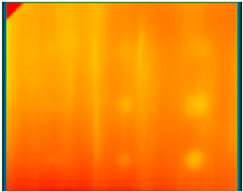 Ndt 02 00031 i009 Ndt 02 00031 i009