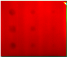 Ndt 02 00031 i015 Ndt 02 00031 i015