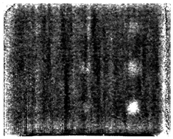 Ndt 02 00031 i029 Ndt 02 00031 i029