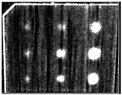 Ndt 02 00031 i030 Ndt 02 00031 i030