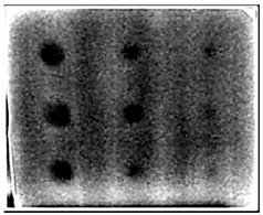 Ndt 02 00031 i032 Ndt 02 00031 i032