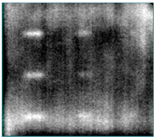 Ndt 02 00031 i047 Ndt 02 00031 i047