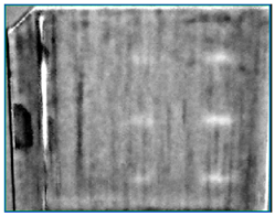 Ndt 02 00031 i048 Ndt 02 00031 i048