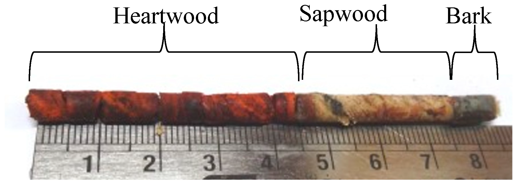 Ndt 04 00024 g002 Ndt 04 00024 g002