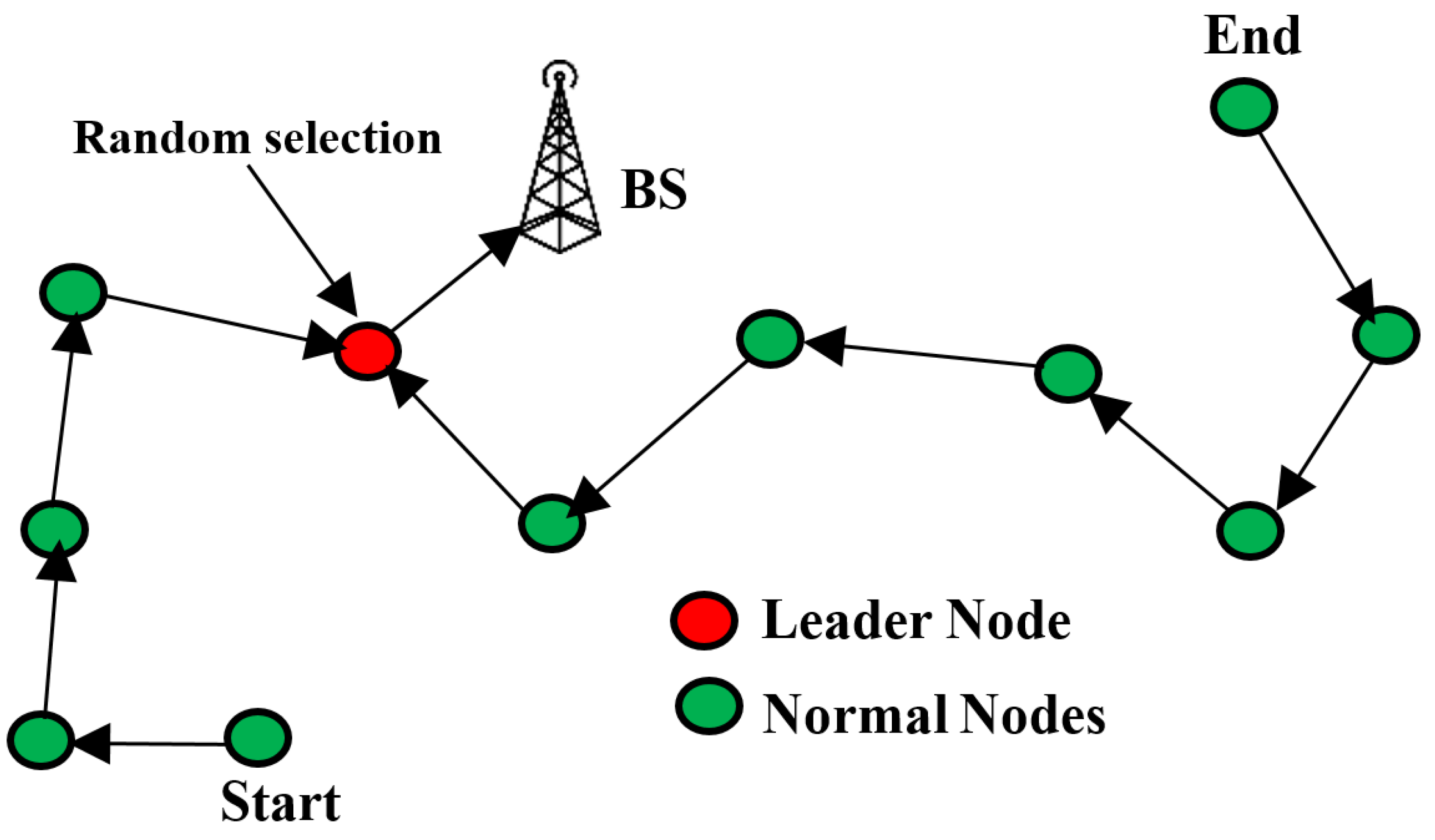 Network 01 00017 g015
