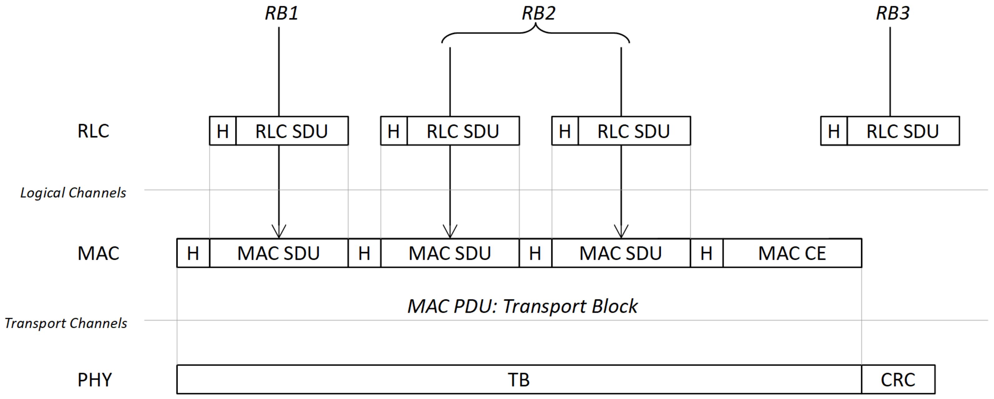 Network 02 00027 g001
