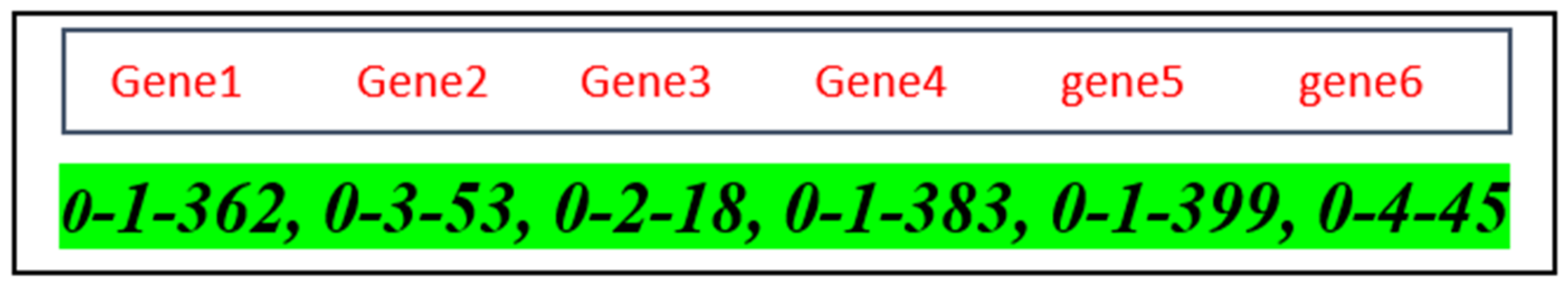 Network 02 00034 g005
