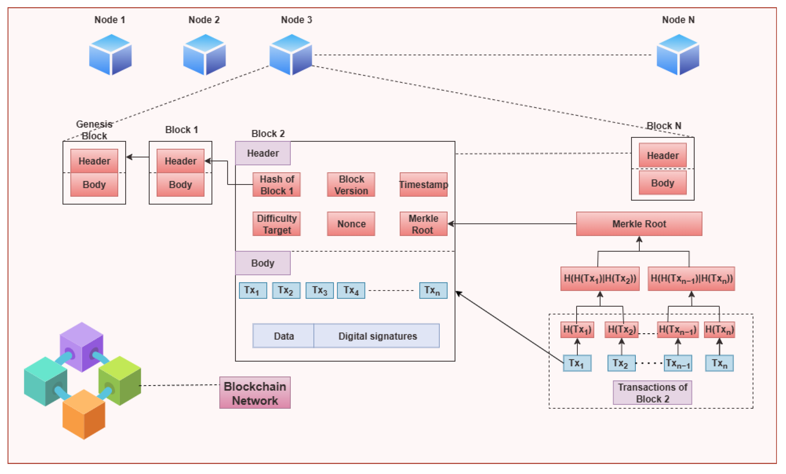 Network 05 00034 g004