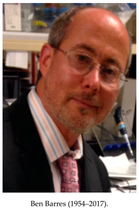 Neuroglia 01 00002 i001