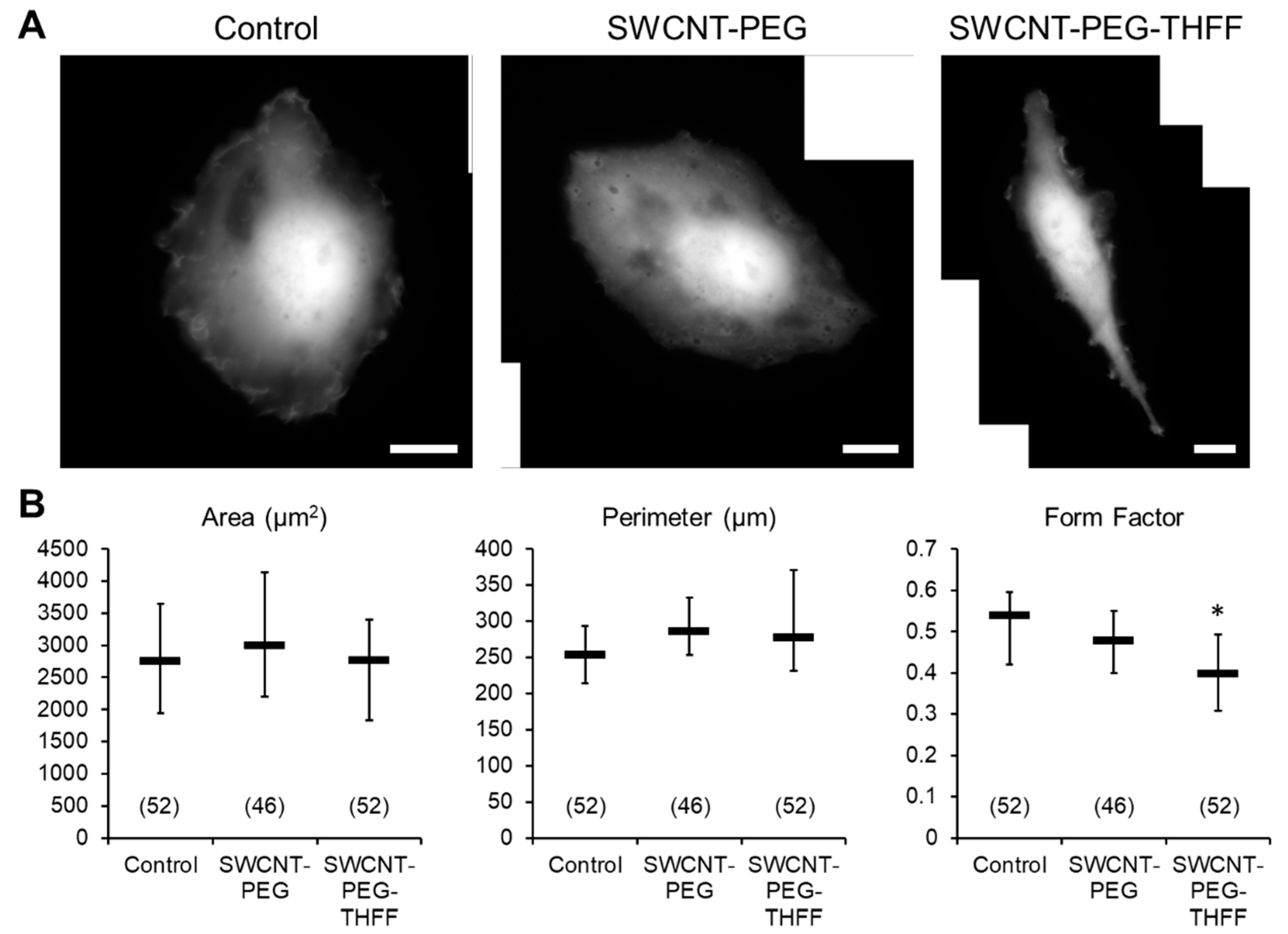 Neuroglia 01 00022 g001