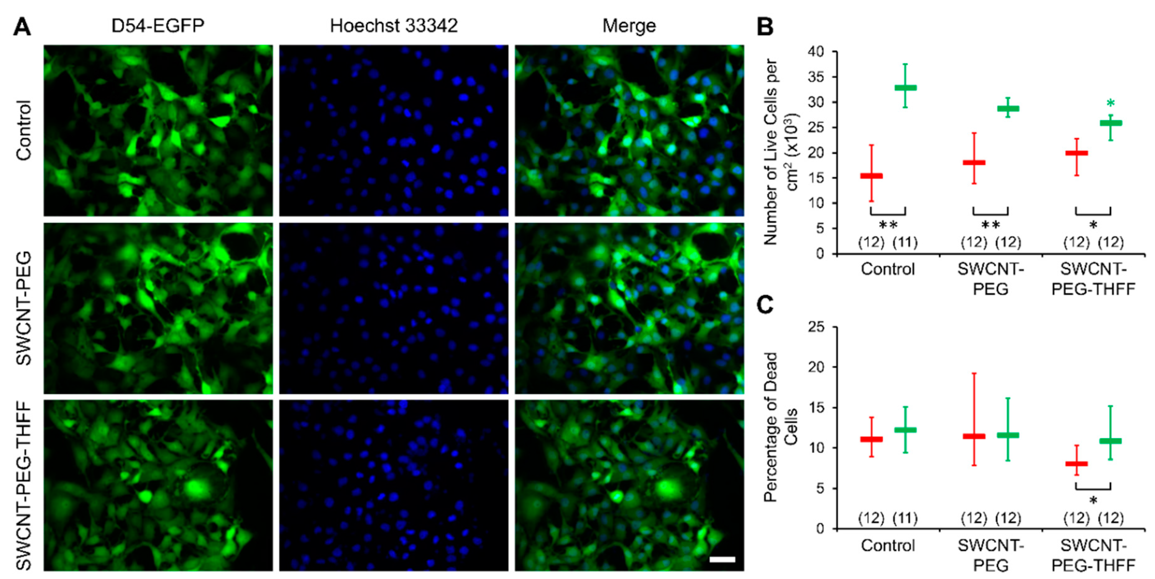 Neuroglia 01 00022 g003