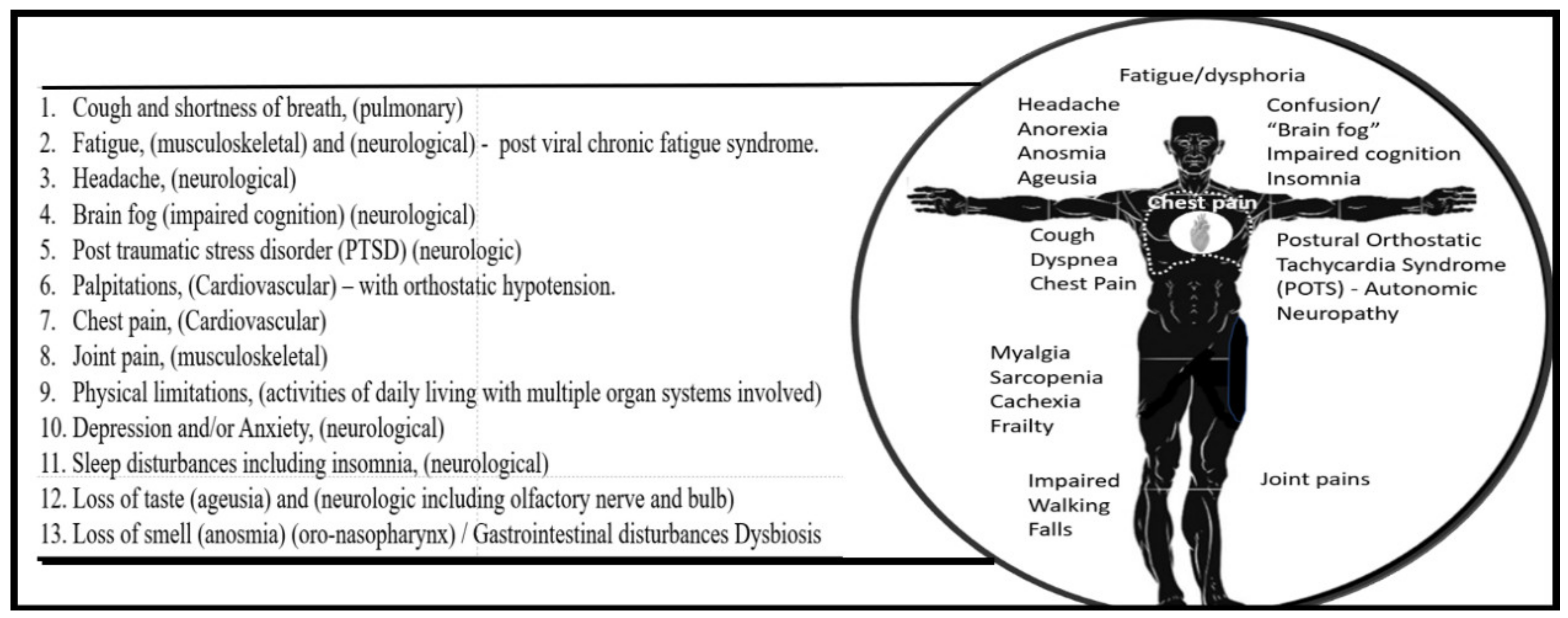 Neuroglia 02 00004 g001