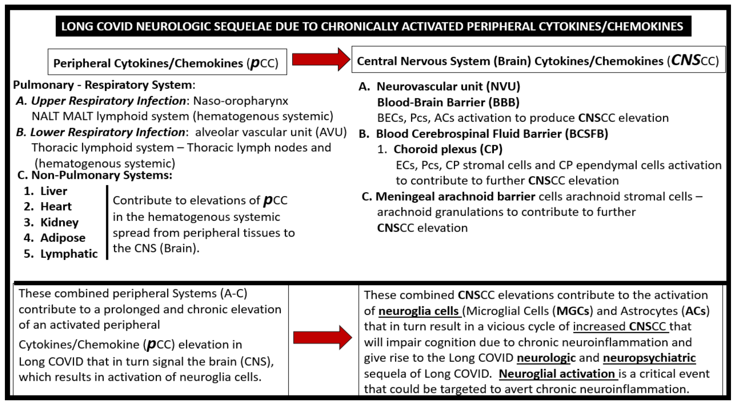 Neuroglia 02 00004 g003