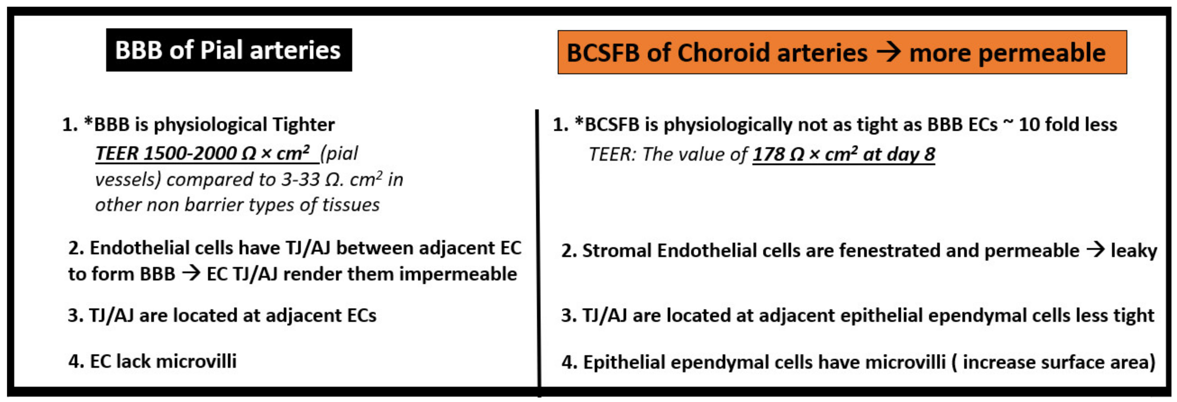 Neuroglia 02 00004 g009