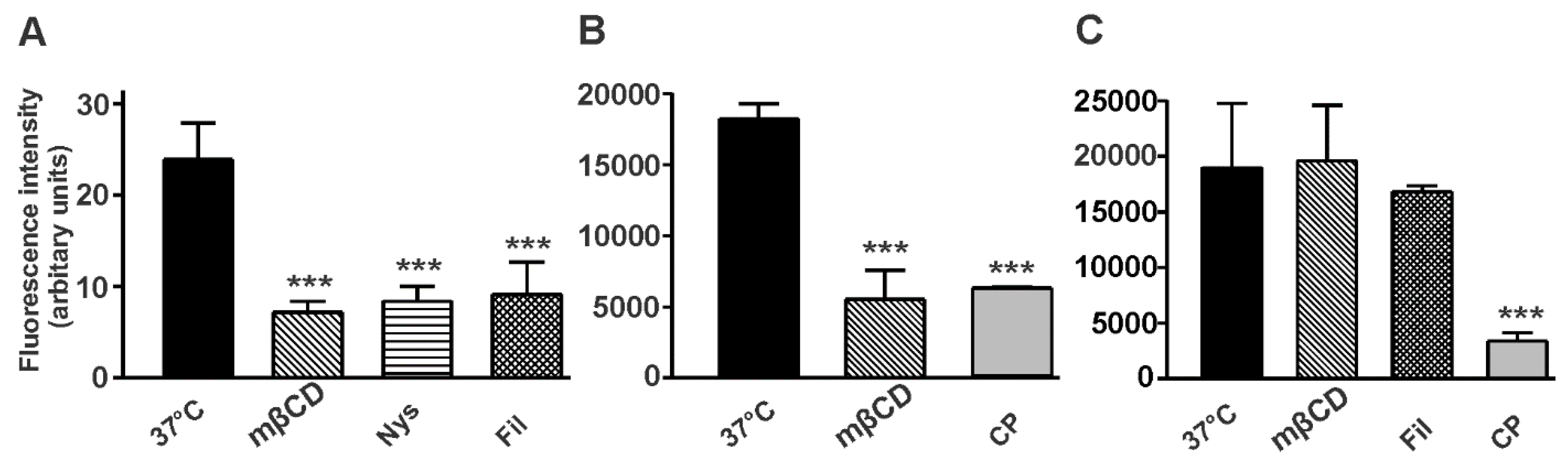 Neuroglia 02 00008 g008