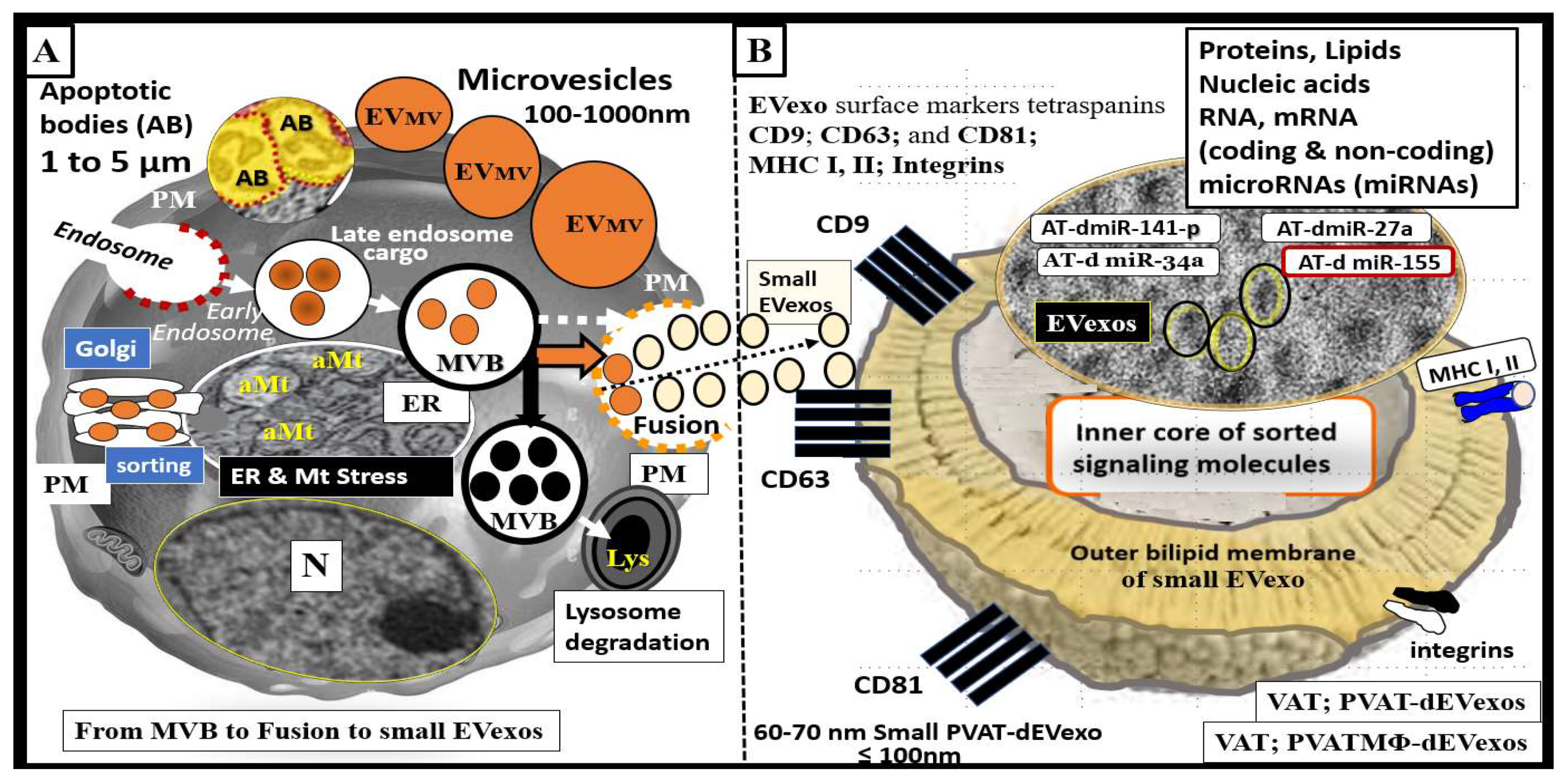 Neuroglia 03 00008 g003