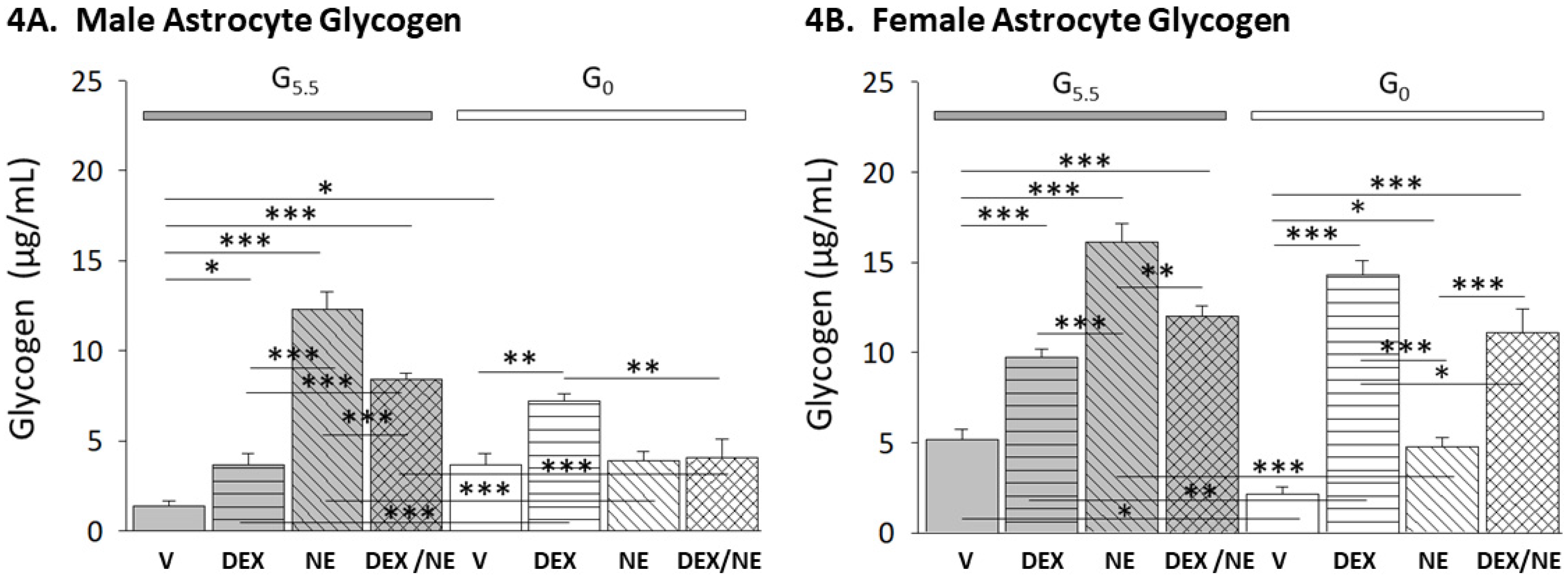 Neuroglia 03 00010 g004