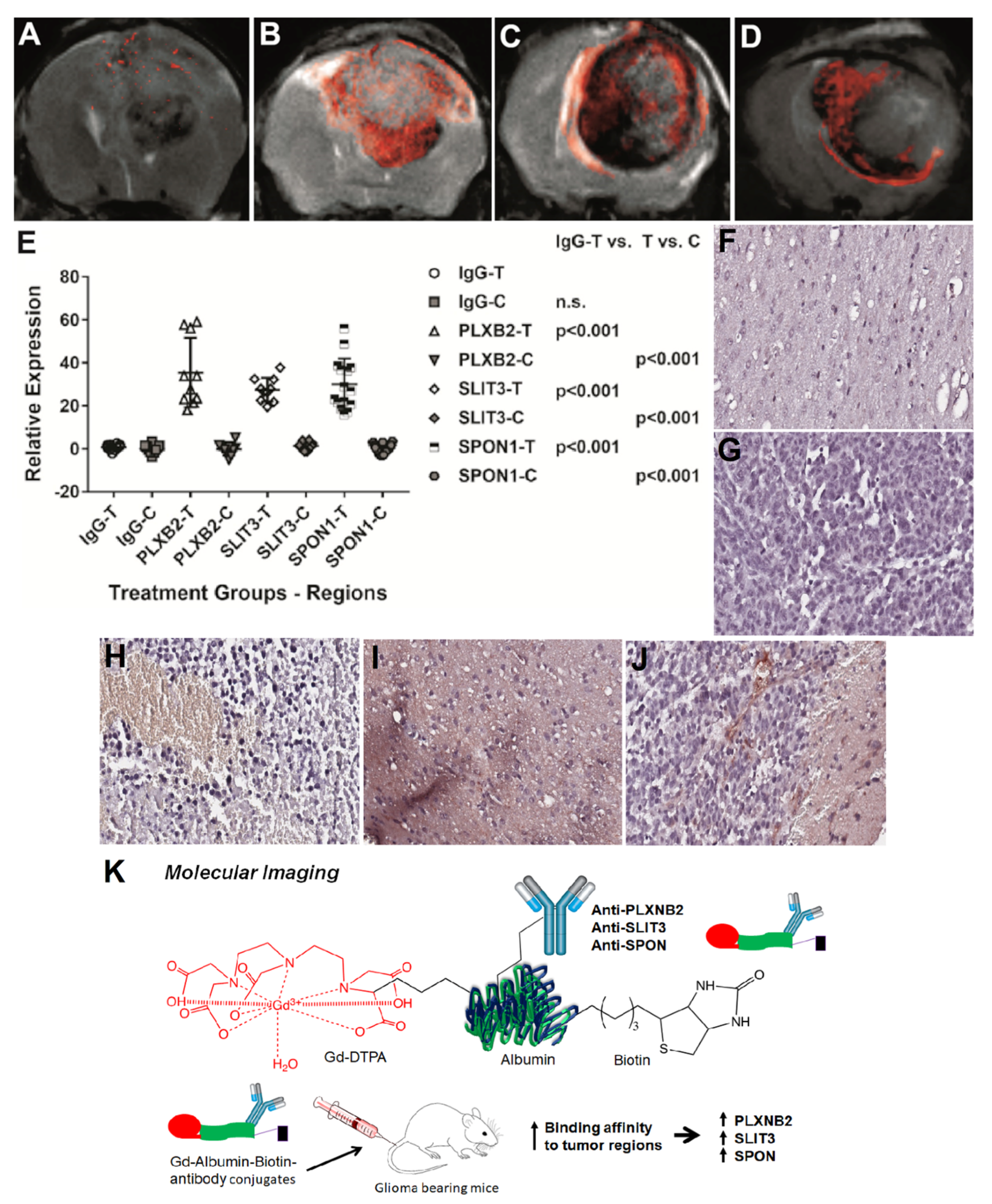 Neuroglia 04 00006 g003 Neuroglia 04 00006 g003