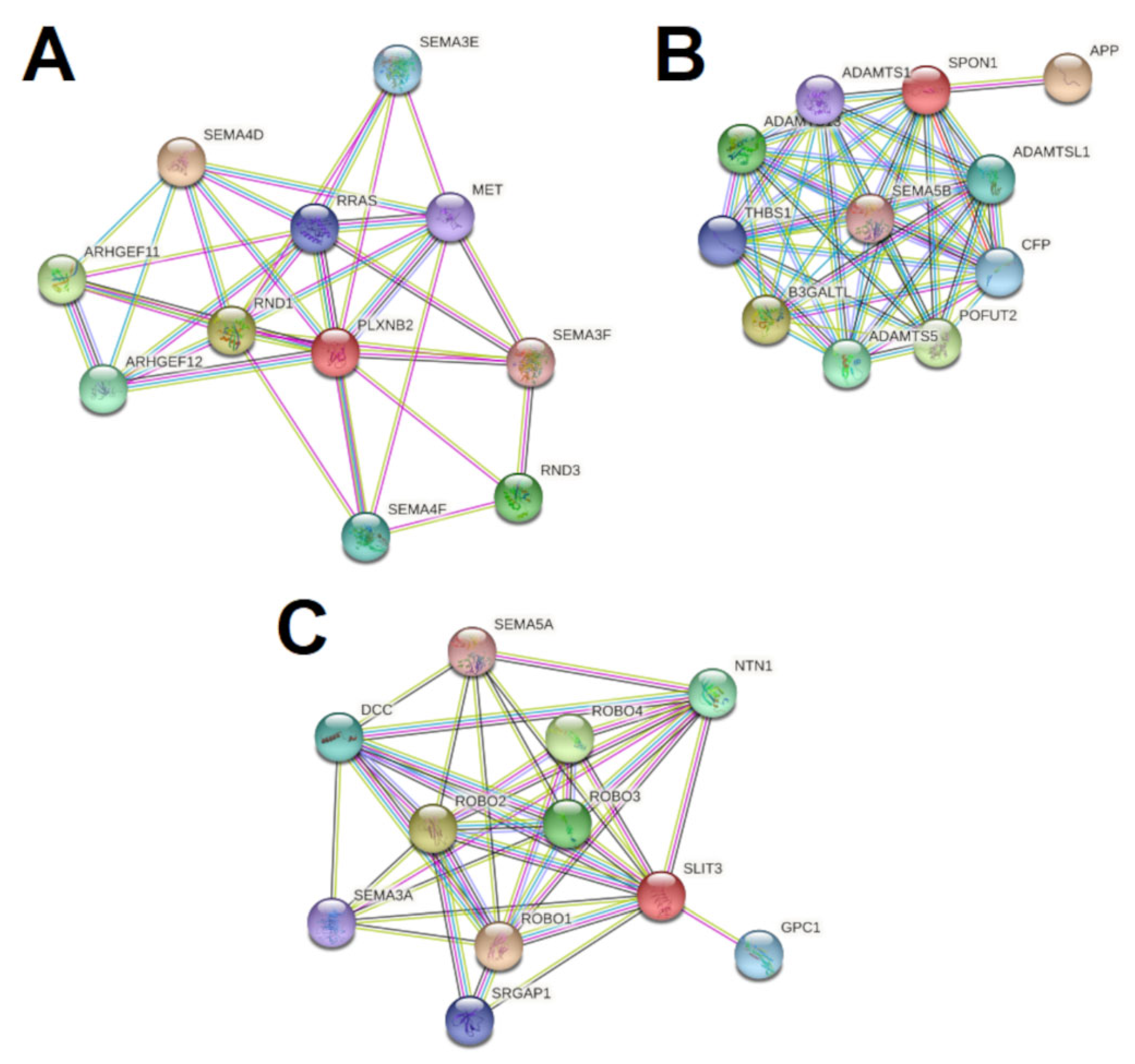 Neuroglia 04 00006 g005 Neuroglia 04 00006 g005