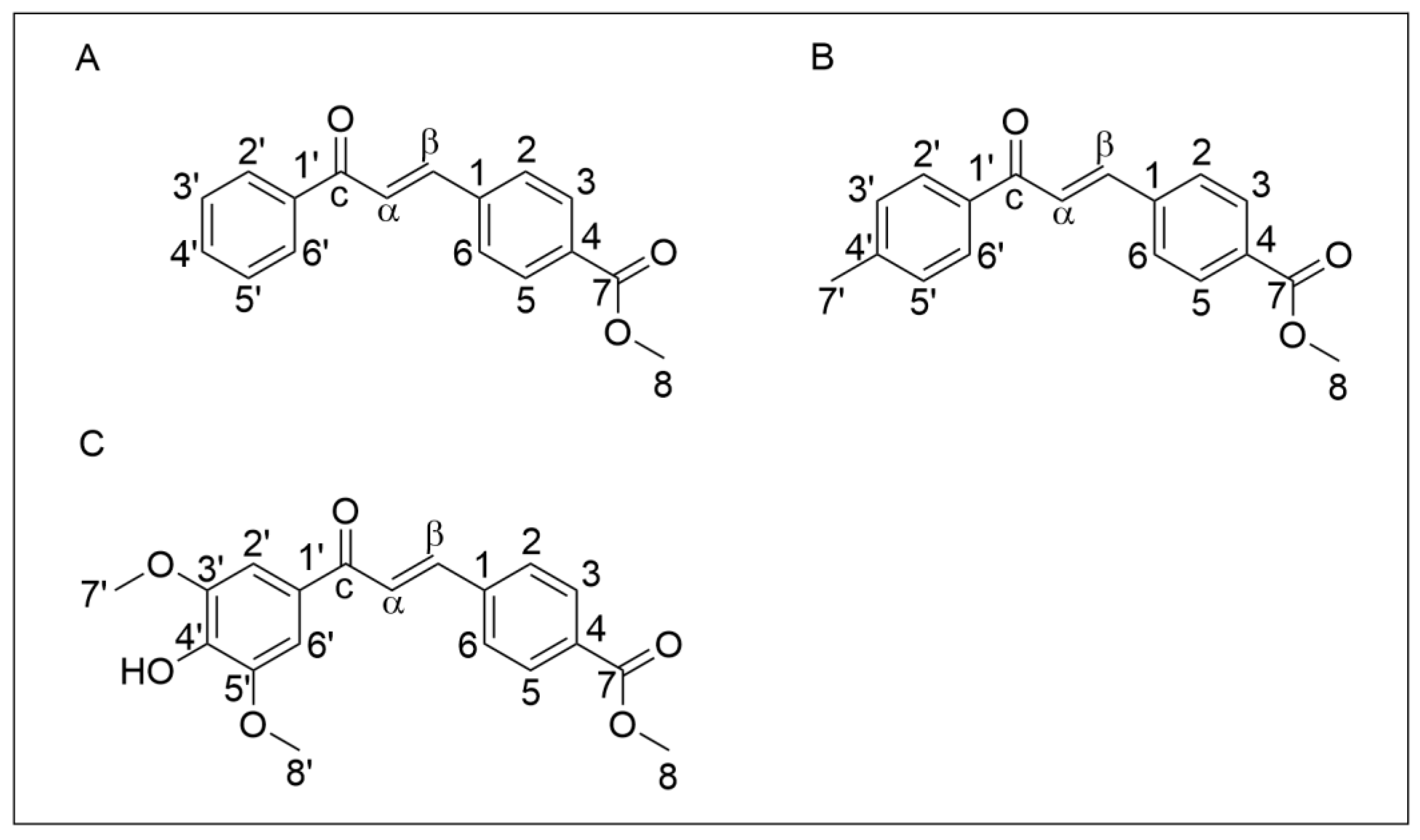 Neuroglia 04 00008 g001