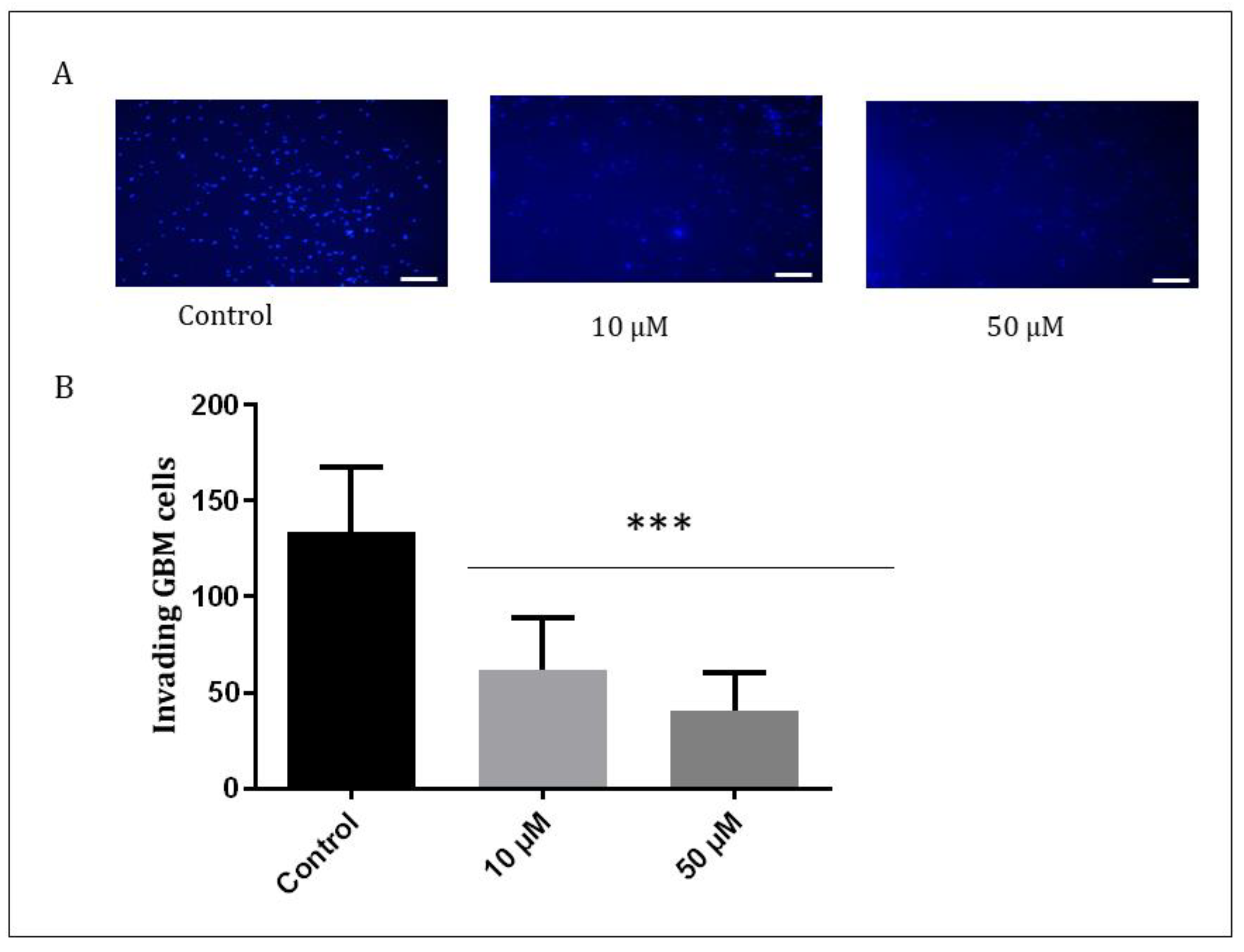 Neuroglia 04 00008 g007