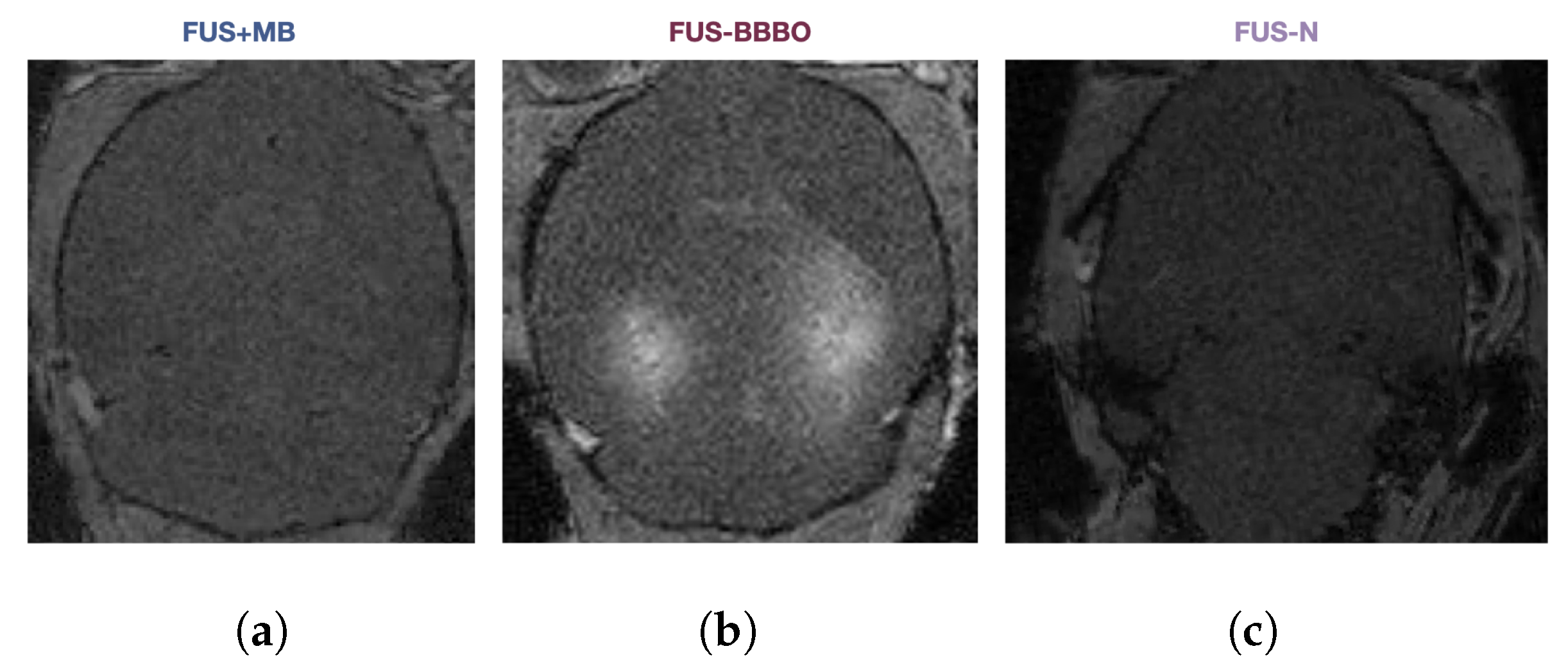 Neuroglia 04 00010 g0a1