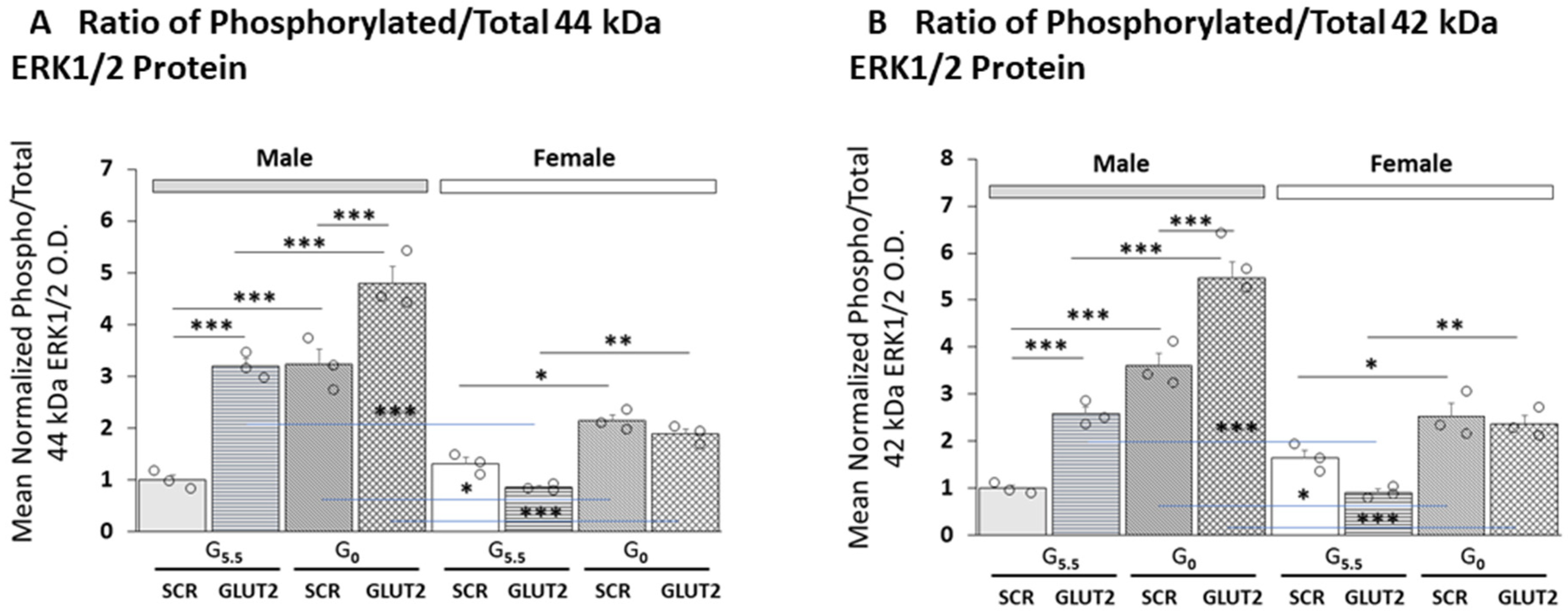 Neuroglia 04 00011 g002
