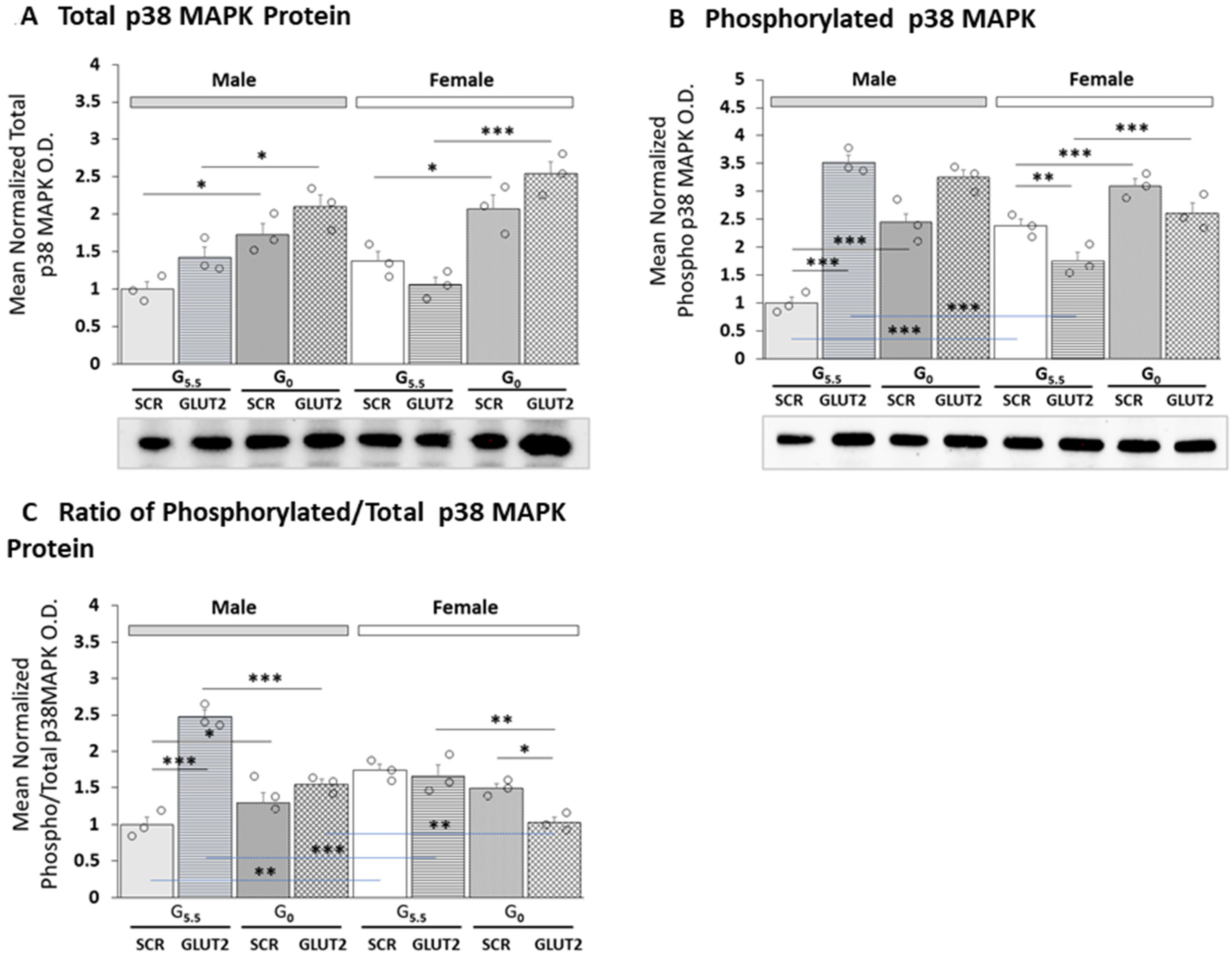 Neuroglia 04 00011 g003