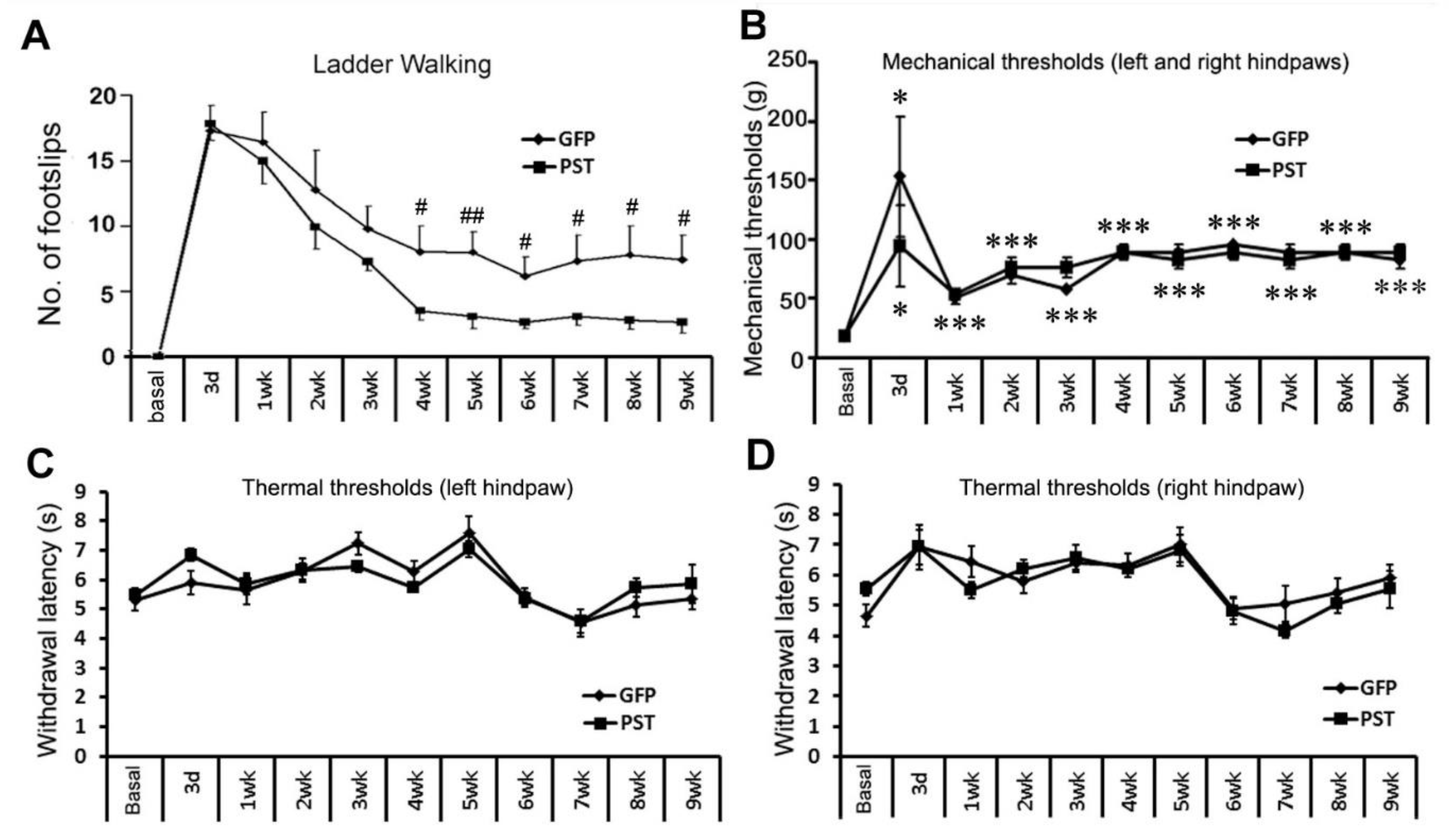 Neuroglia 04 00016 g005
