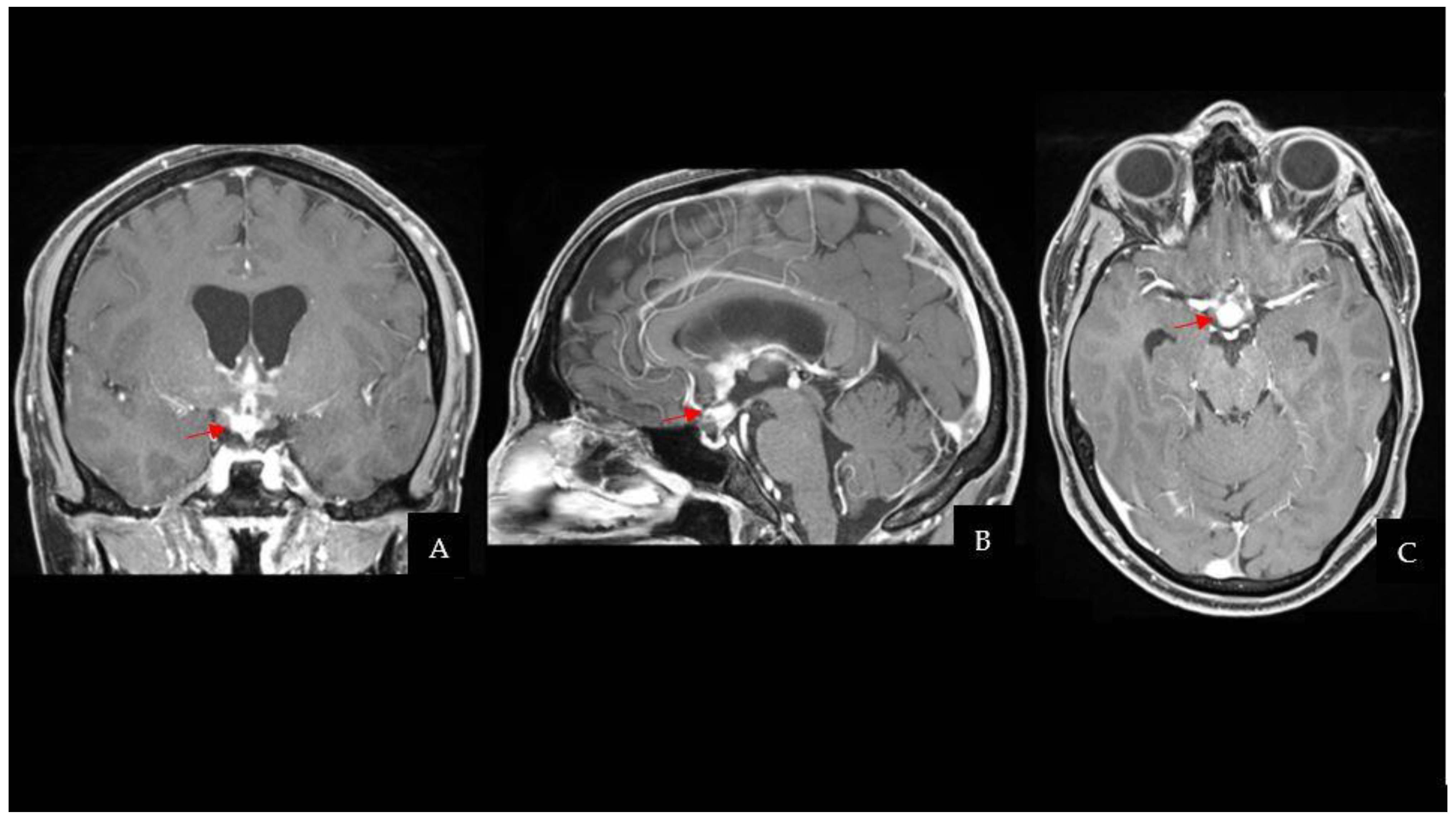 Neuroglia 05 00004 g001