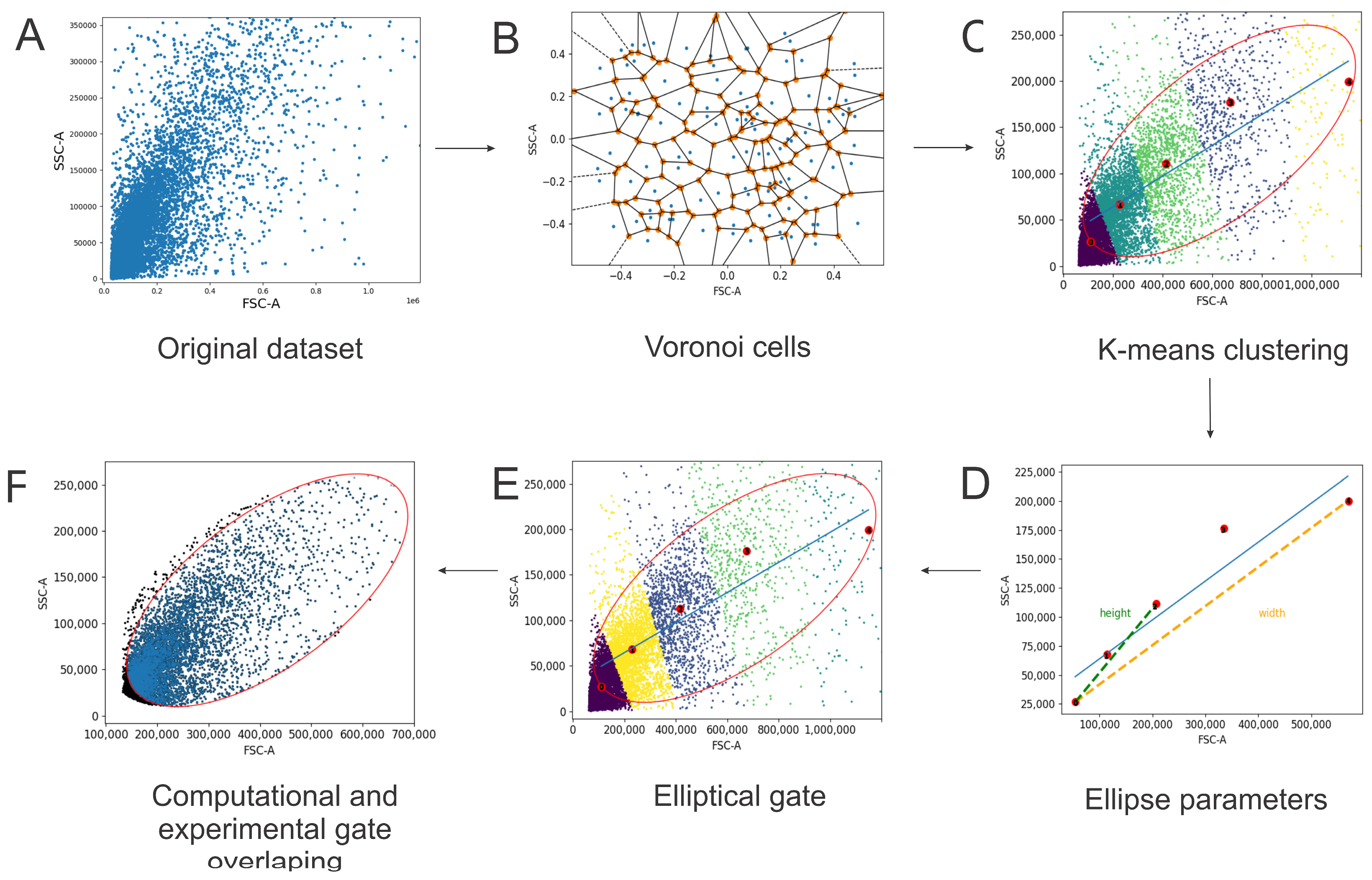 Neuroglia 05 00010 g003