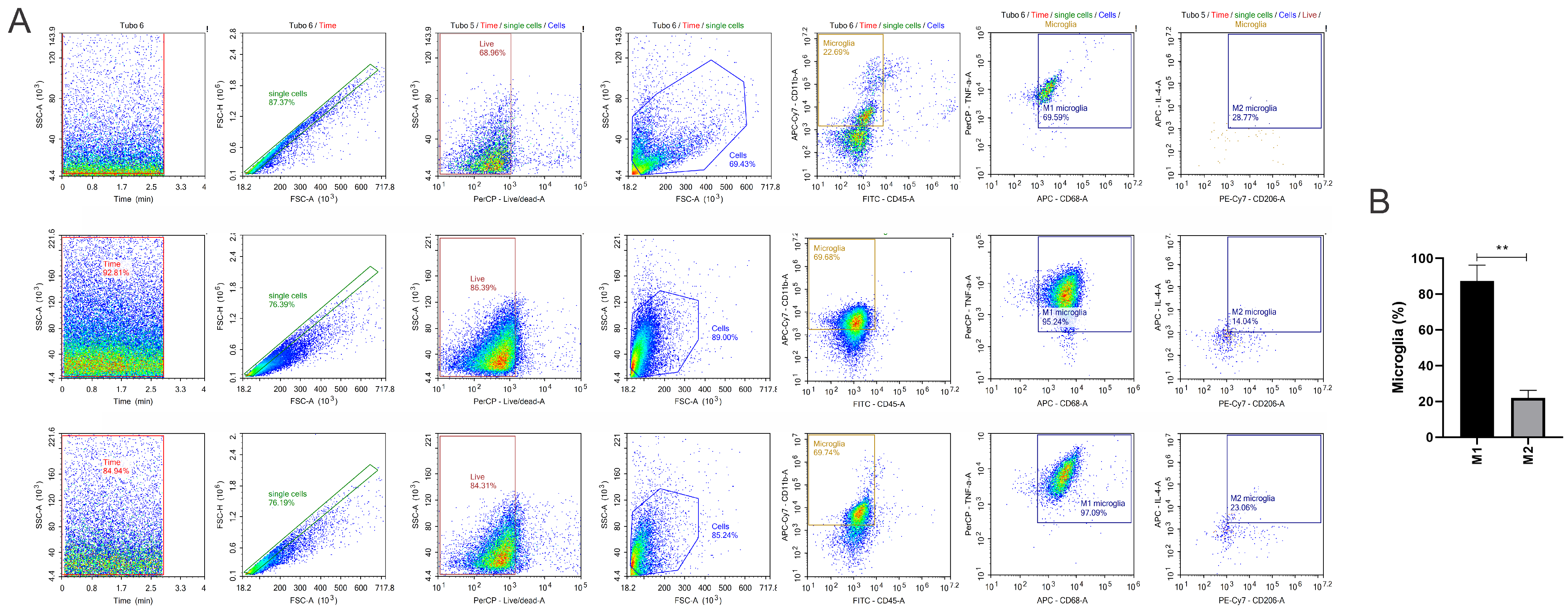 Neuroglia 05 00010 g006