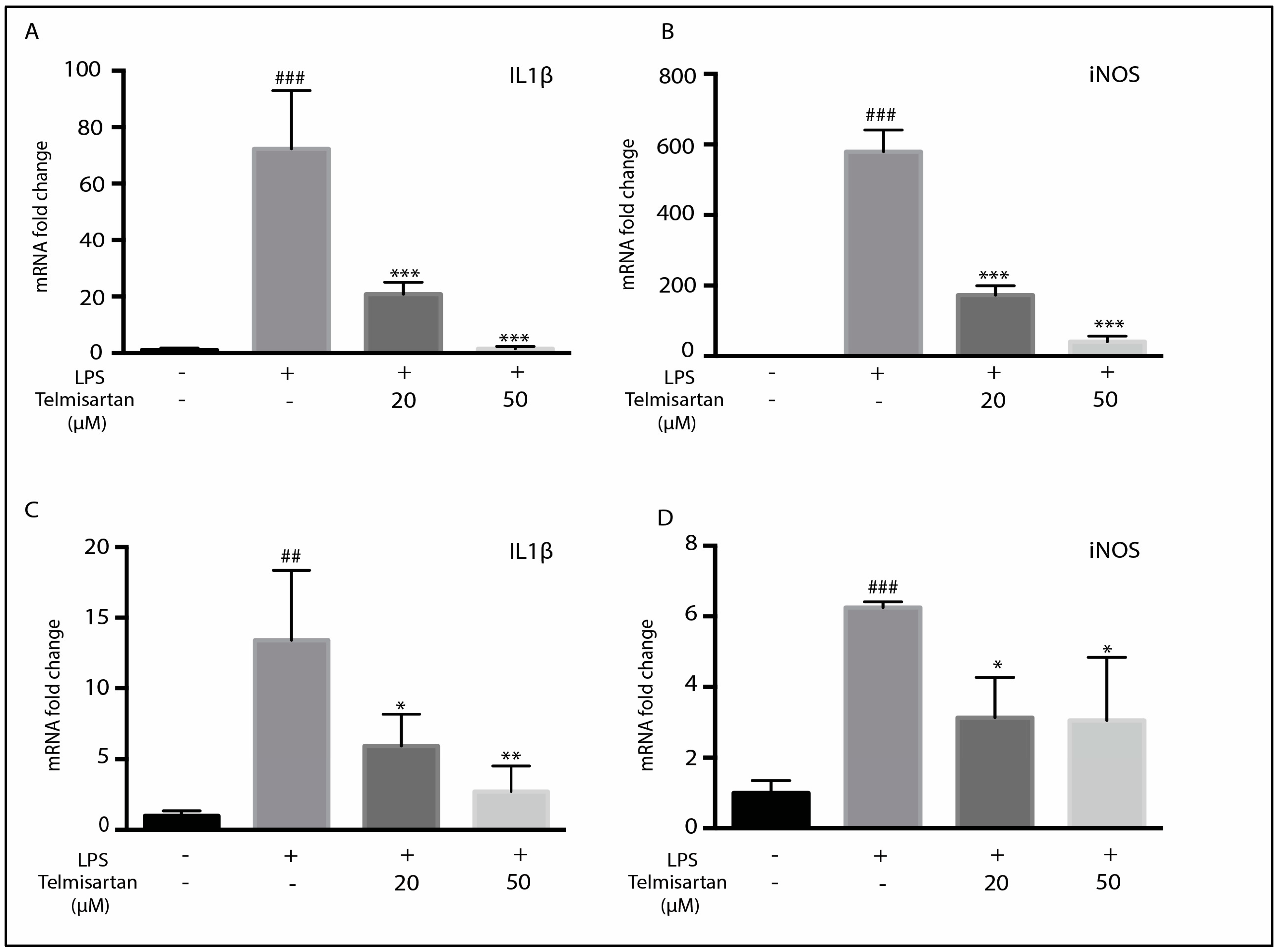 Neuroglia 05 00014 g002