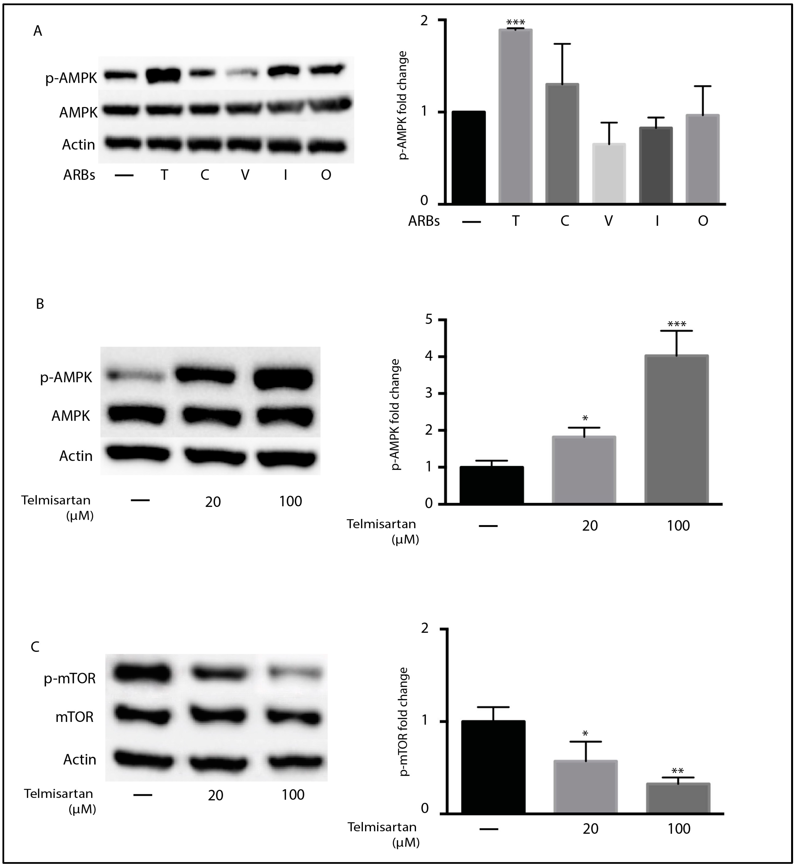 Neuroglia 05 00014 g003