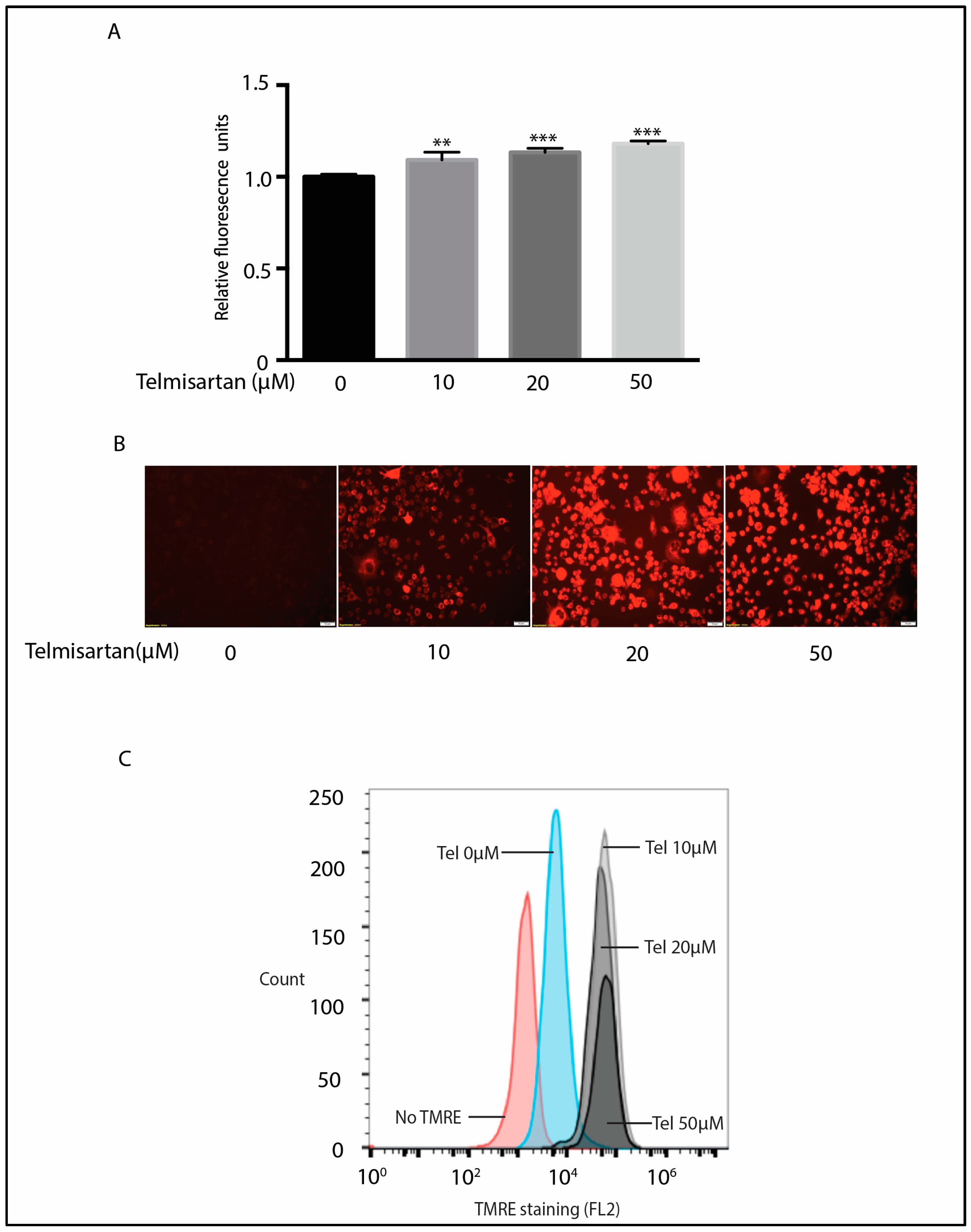 Neuroglia 05 00014 g005